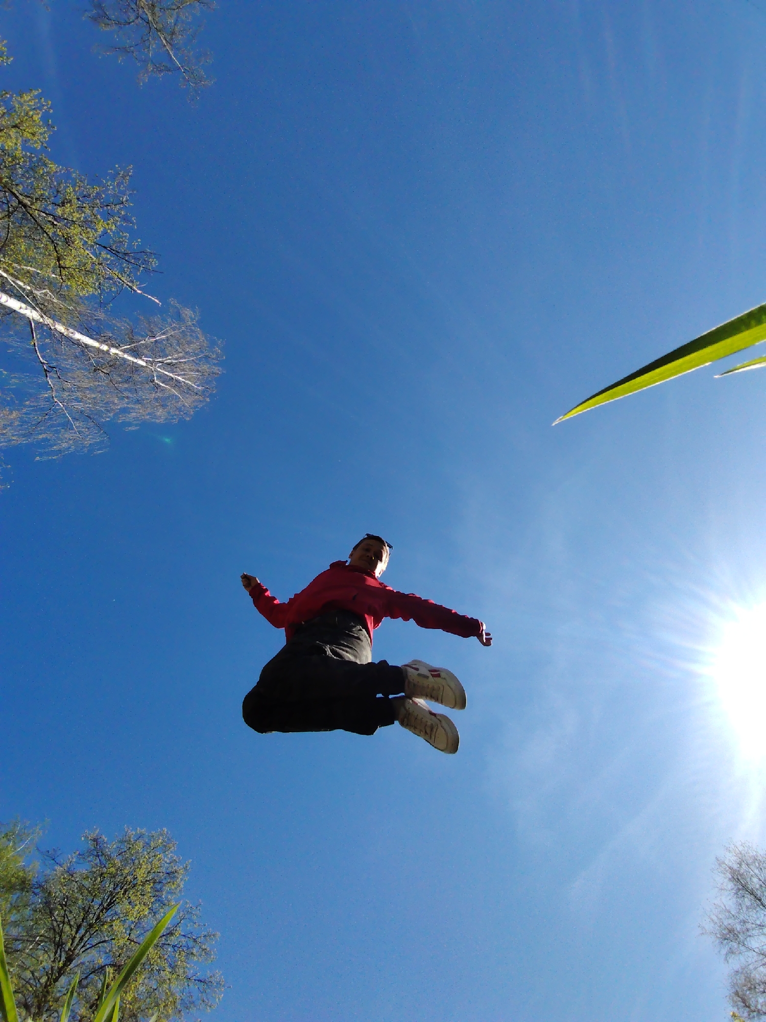 A low-angle, upward-facing photograph depicts a person in mid-air against a clear blue sky. The person is wearing a red jacket, dark pants, and white shoes with red accents. They are positioned centrally in the frame, limbs outstretched, suggesting a jump. Trees are visible in the peripheral corners of the image. The sun is positioned at the bottom right, causing lens flare. Tall, green blades of grass are seen in the lower corners. The location is consistent with a sunny outdoor area, though specific identification of Chaikovsky, Russia, from this image alone is not possible without additional context.