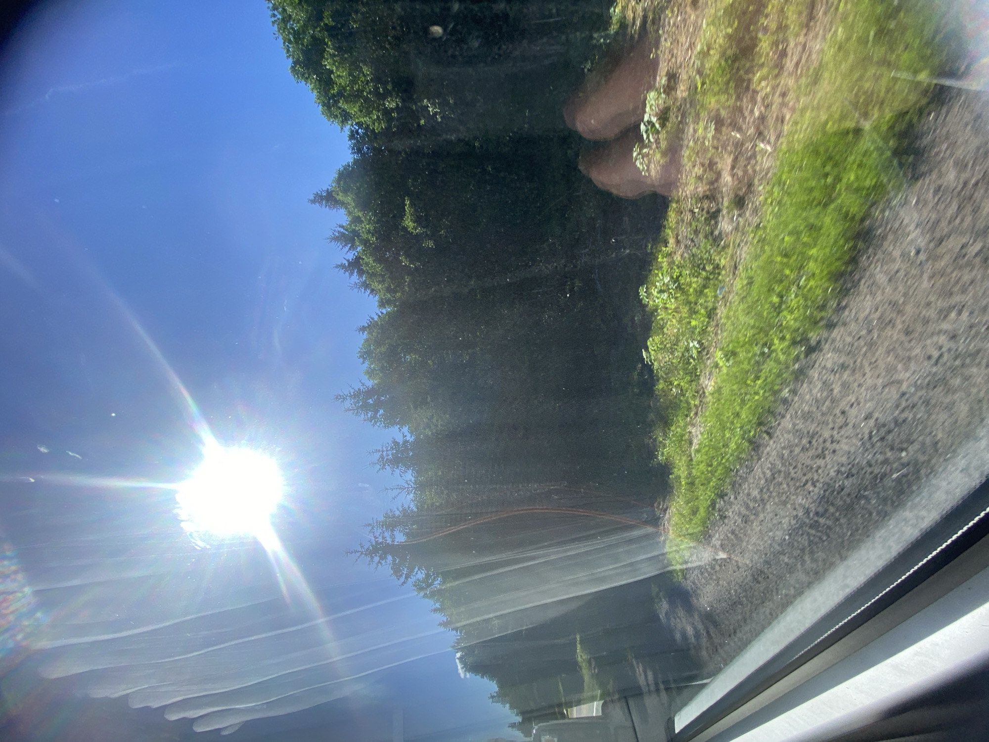 The image depicts a sunlit view from inside a vehicle, looking outwards through a window that shows streaks of light. The scene outside consists of a clear blue sky with the bright sun partially obscured by lens flare. A dense forest of dark green evergreen trees dominates the middle ground. In the foreground, a patch of green grass borders a gravelly area that appears to be a roadside or path. Two large, rounded brown rock formations are visible on the right side of the image. The overall impression is of a natural landscape on a sunny day, likely viewed from a moving vehicle. The specific location in Kas'kovo, Russia, cannot be determined from the visual information present.