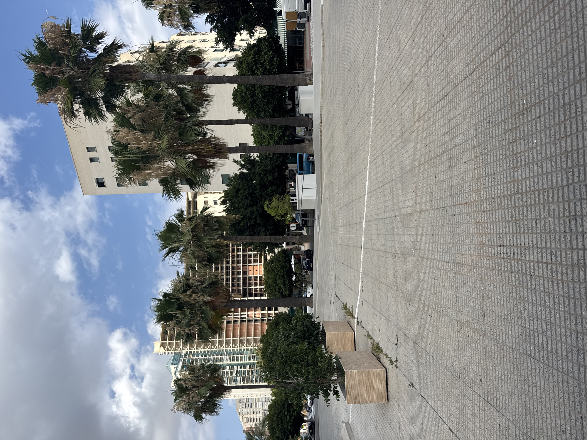 This image depicts an outdoor urban scene. The primary subjects are tall palm trees with sparse fronds, lined up along a paved area. Behind the trees, several modern buildings of varying heights and architectural styles are visible, some appearing to be under construction with exposed framework. The ground is paved with grey tiles, marked with white lines. Two wooden planters are placed on the paved area. In the background, there are glimpses of vehicles and other trees. The sky is partly cloudy with patches of blue. The scene suggests a daytime setting in a city that experiences warm weather, possibly a coastal area given the palm trees and the style of buildings. There is no discernible activity or event taking place, presenting a static view of the environment. The overall impression is one of a well-maintained urban public space with a blend of nature and modern architecture. No visible text is present in the image.