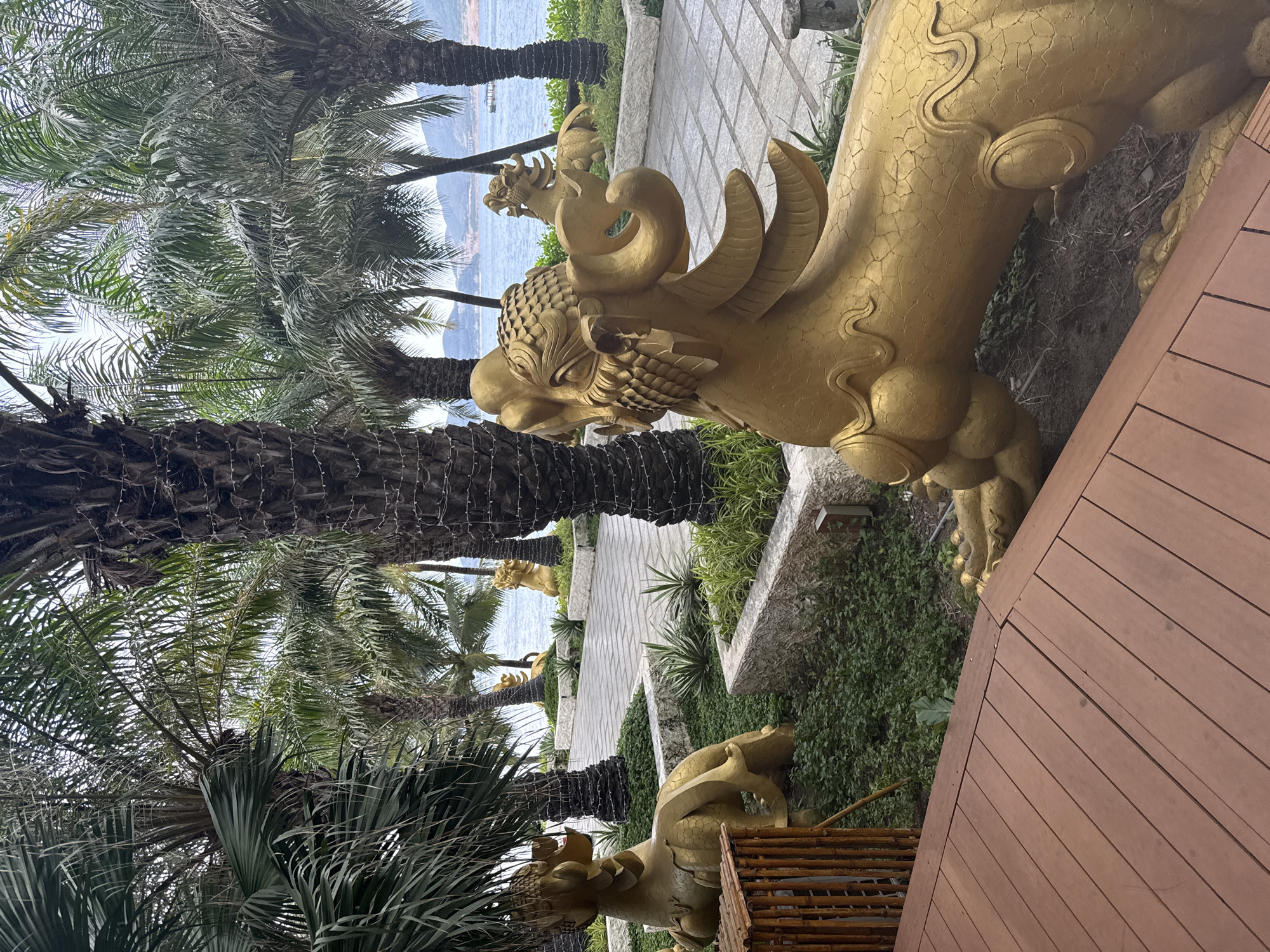 The image depicts a scene in Nha Trang, Vietnam, featuring golden dragon statues placed amidst palm trees and a paved pathway leading towards the sea. The foreground includes a wooden platform or deck. The statues appear to be part of a garden or park setting. The sea is visible in the distance between the palm trees.