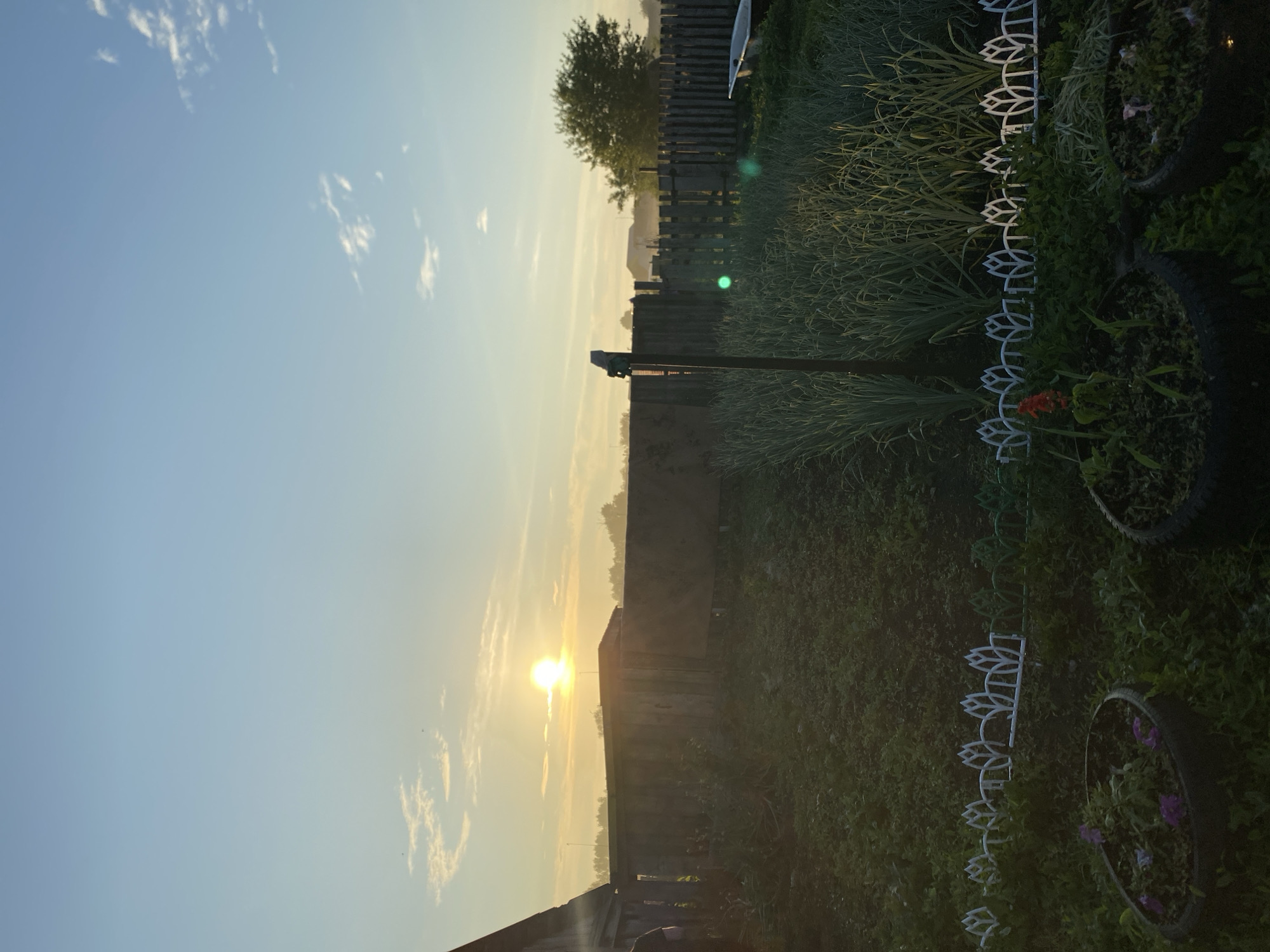 The image depicts a rural backyard scene at sunrise in Chirsha-Tartysh, Russia. The sun is low on the horizon, casting a warm glow across the landscape. In the foreground, a garden bed is visible, planted with rows of tall green onions or garlic. A decorative white fence with a floral motif separates the garden from the rest of the yard. Two repurposed tire planters, one containing purple flowers and another with young plants, are situated in the lower left and right corners of the frame.
Behind the garden, a weathered wooden fence stretches across the middle ground, separating the yard from what appears to be neighboring properties. To the left, the corner of a wooden structure, possibly a house or shed, is visible. Further back, a large, leafy tree stands to the right of the frame, silhouetted against the bright sky. The background is hazy, suggesting the presence of morning mist or dust. A white bathtub is visible beyond the fence on the right side of the image. A solitary pole with a device attached stands in the garden. The sky is a clear blue with a few wispy clouds.