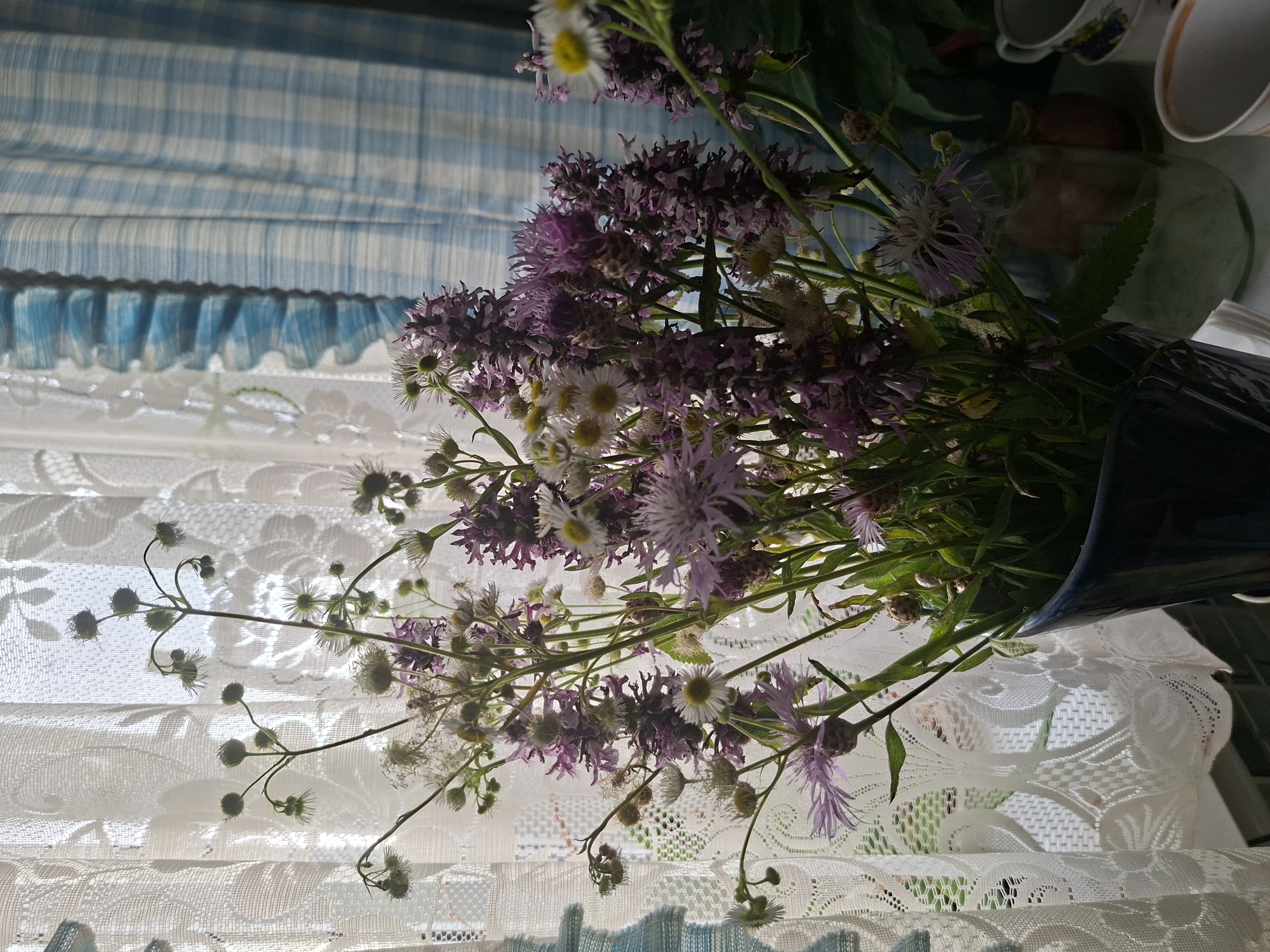 A close-up, vertical shot captures a bouquet of wild flowers in a dark blue vase placed on a surface. The bouquet contains a mix of purple and white flowers, some with yellow centers, and various green leaves and stems. Behind the flowers, a sheer white lace curtain with a floral pattern is visible, allowing sunlight to create intricate shadows on its surface. To the right of the lace curtain, a blue and white checkered curtain hangs, adding a contrasting texture and color to the background. The scene appears to be indoors, near a window, possibly in a domestic setting in Babynino, Russia. The lighting suggests it is daytime, with natural light illuminating the flowers and curtains. There are no people visible in the image.