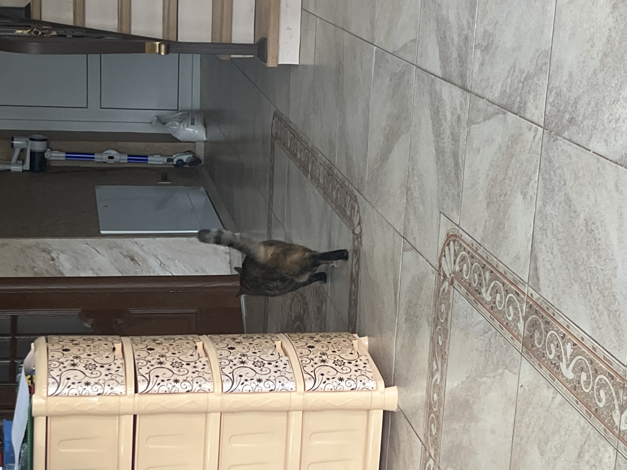 A domestic shorthair cat with tabby markings walks away from the camera on a tiled floor. The cat is facing towards a doorway, with its tail held high and its hindquarters visible. The floor is a light beige color with a decorative border. To the left of the cat is a tall, beige plastic chest of drawers with floral patterned drawers. In the background, a vacuum cleaner is mounted on a wall. A white door is visible to the right of the vacuum cleaner. Stairs can be seen in the far right of the image.