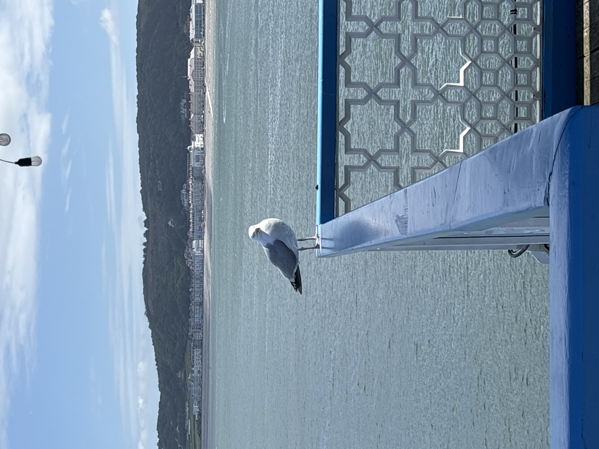 A seagull perches on a blue metal beam, part of the Llandudno Pier in the United Kingdom. The pier's decorative metal lattice sits behind the beam. In the background is the sea, and beyond that, the coastline of Llandudno, with buildings visible along the shore at the base of a green hillside. The sky is partially cloudy.