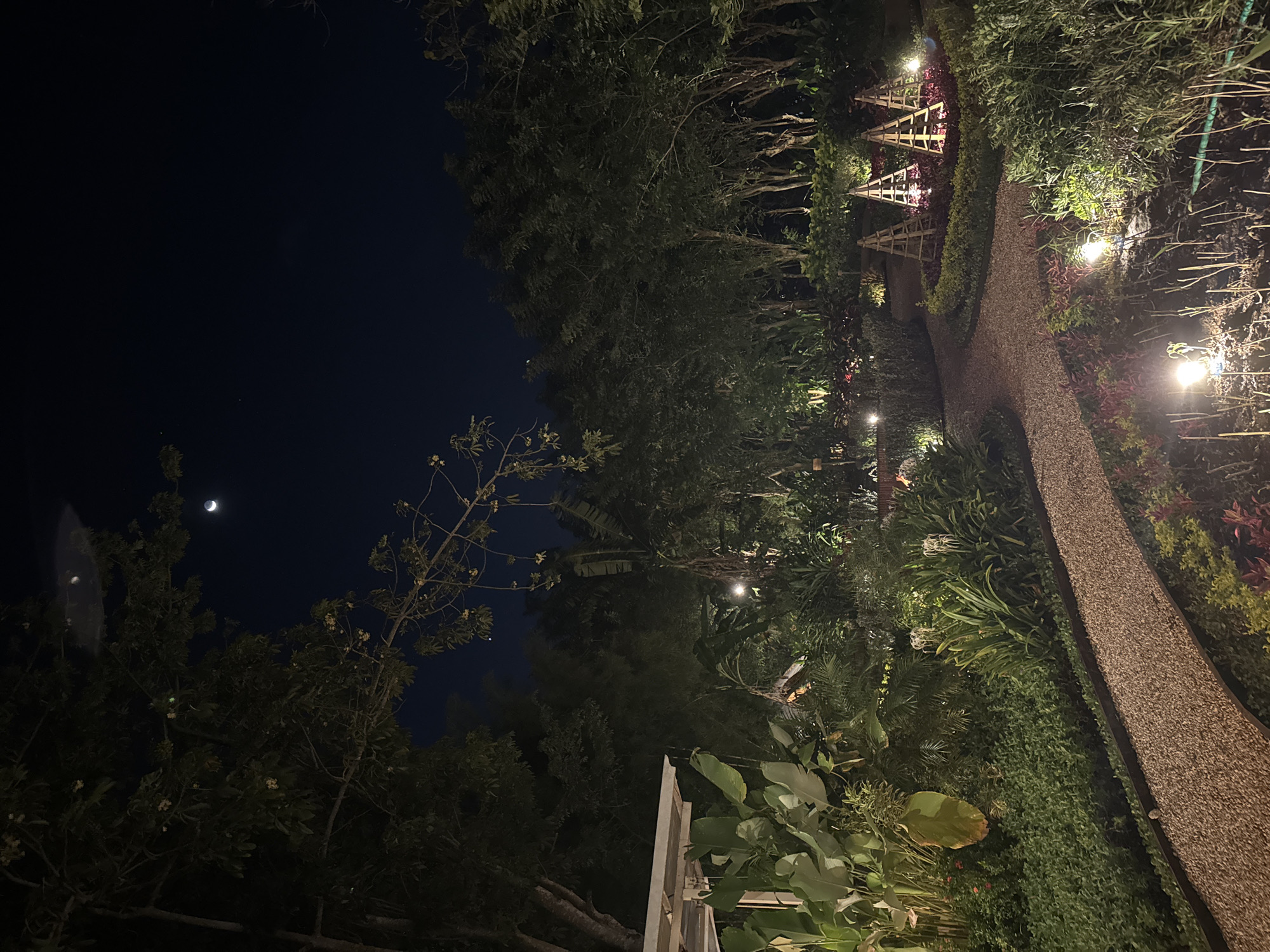 The image presents a night scene in Kuta Selatan, Indonesia, capturing an outdoor garden or park area. The environment is characterized by dense greenery, including trees, shrubs, and various plants, illuminated by scattered outdoor lights. A winding gravel path stretches into the distance, punctuated by small light fixtures and decorative bamboo structures. Above, a dark sky reveals a crescent moon and a few visible stars. No people are visible in the frame.