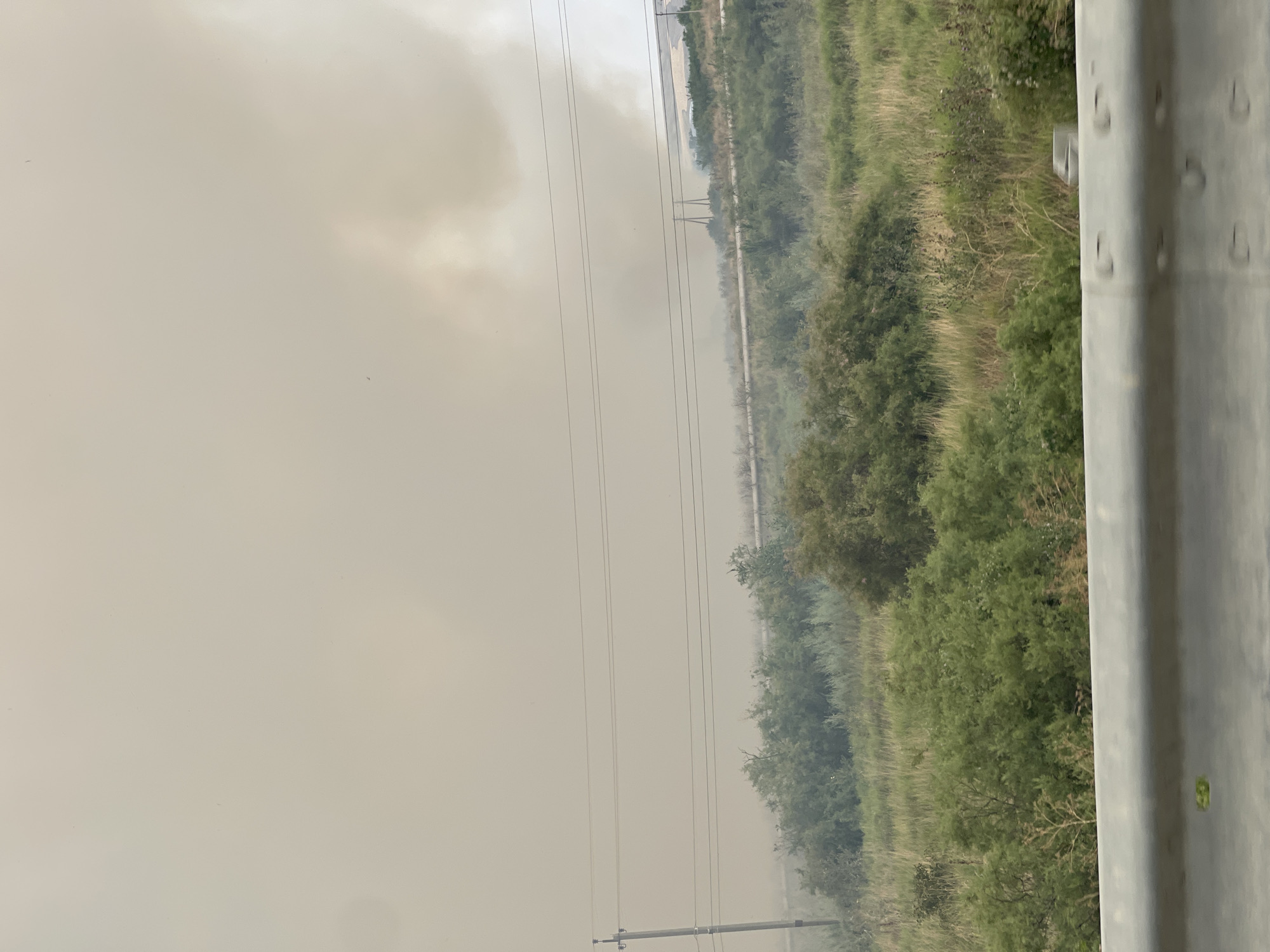 The image depicts a hazy, smoke-filled sky over a rural landscape. In the foreground, a metal guardrail runs horizontally across the bottom of the frame, suggesting the photo was taken from a vehicle. Beyond the guardrail, a dense area of green foliage, consisting of trees and tall grasses, stretches across the mid-ground. In the distance, two utility poles with power lines are visible, and further beyond them, more smoke is present, indicating a potential fire or heavy pollution. The overall atmosphere is obscured by the pervasive haze, giving the scene a muted and somber appearance. There are no people or identifiable structures in the immediate vicinity. The location is identified as Pokoinoe, Russia.