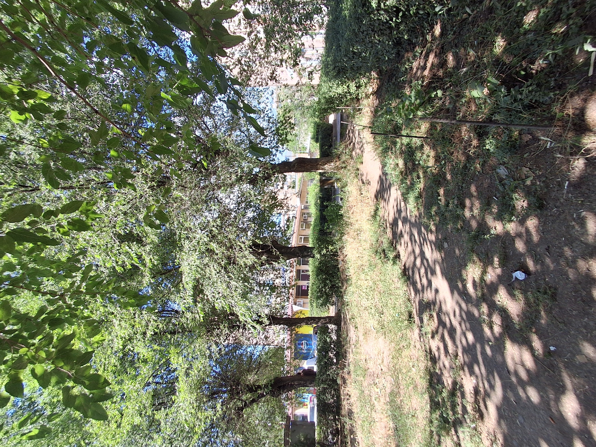 This is a ground-level, wide-angle outdoor photograph taken on a sunny day, likely in Yeghegnadzor, Armenia. The foreground features a dirt path with sparse grass and fallen leaves, dappled with the shadows of trees. A small white object, possibly trash, lies on the path. To the right, a dense green hedge borders the path, with thin, vertical wooden stakes in the ground in front of it.
Behind the hedge, several trees with lush green foliage dominate the midground, casting further shadows. Beyond the trees, a building complex is visible. The building appears to be a single-story structure with a light-colored facade, windows, and an awning. A prominent sign featuring a blue Pepsi logo is visible on the front of one section of the building, suggesting it might be a shop or cafe. Further in the background, a multi-story building with a beige facade and windows can be seen. The sky is a clear blue. The overall impression is an urban or semi-urban setting with greenery and a commercial building.