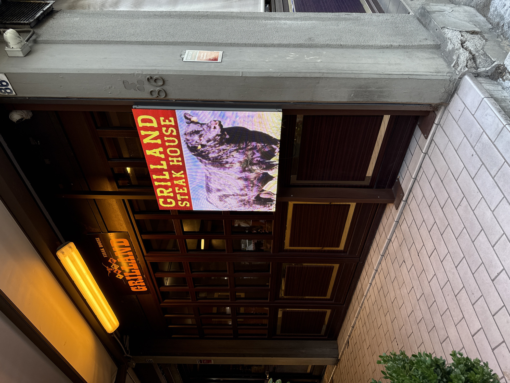 The image shows the exterior of a steakhouse named "GRILLAND STEAK HOUSE" in Parma, Italy. The facade features large wooden doors with glass panes and brass accents. Above the entrance, a bright yellow fluorescent light illuminates the signage. A digital billboard displays a picture of a black cow and the steakhouse's name in yellow lettering against a red background. The building is situated on a street with a tiled sidewalk. To the right of the entrance, a concrete pillar displays the building number "86". The overall scene is one of a commercial establishment on a city street.