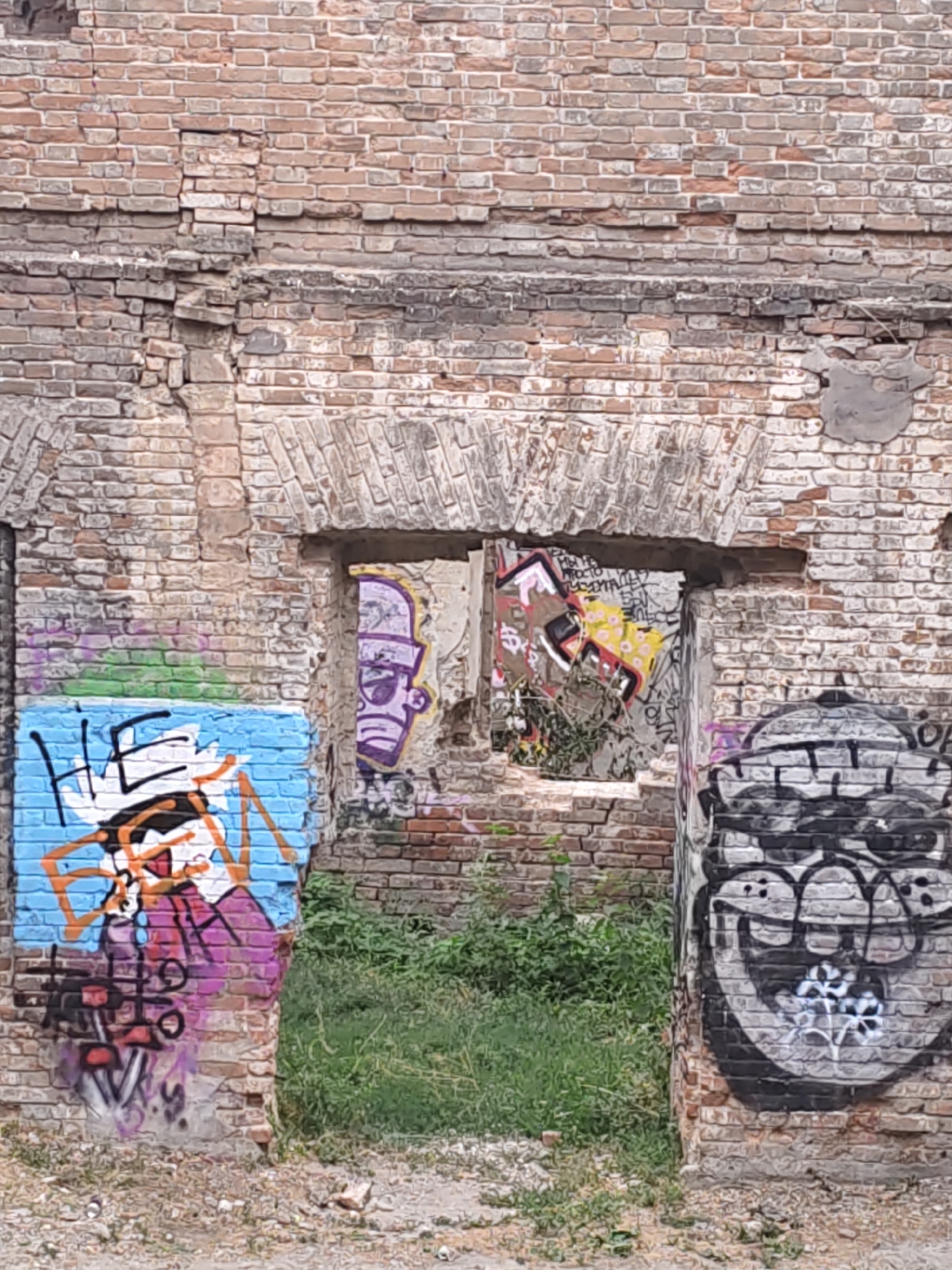 The image depicts a dilapidated brick structure adorned with graffiti. The facade features an arched doorway, leading into an overgrown interior. On the left, a section of the wall is covered with a vibrant mural featuring the word "HE" in large blue letters over a stylized orange and purple figure. To the right of the doorway, another wall is covered in black and white graffiti, resembling a cartoonish face with a wide grin and multiple eyes. The ground is scattered with debris and dry vegetation. The overall impression is one of urban decay and artistic expression in a neglected setting. This structure is located in Rostov-on-Don, Russia.