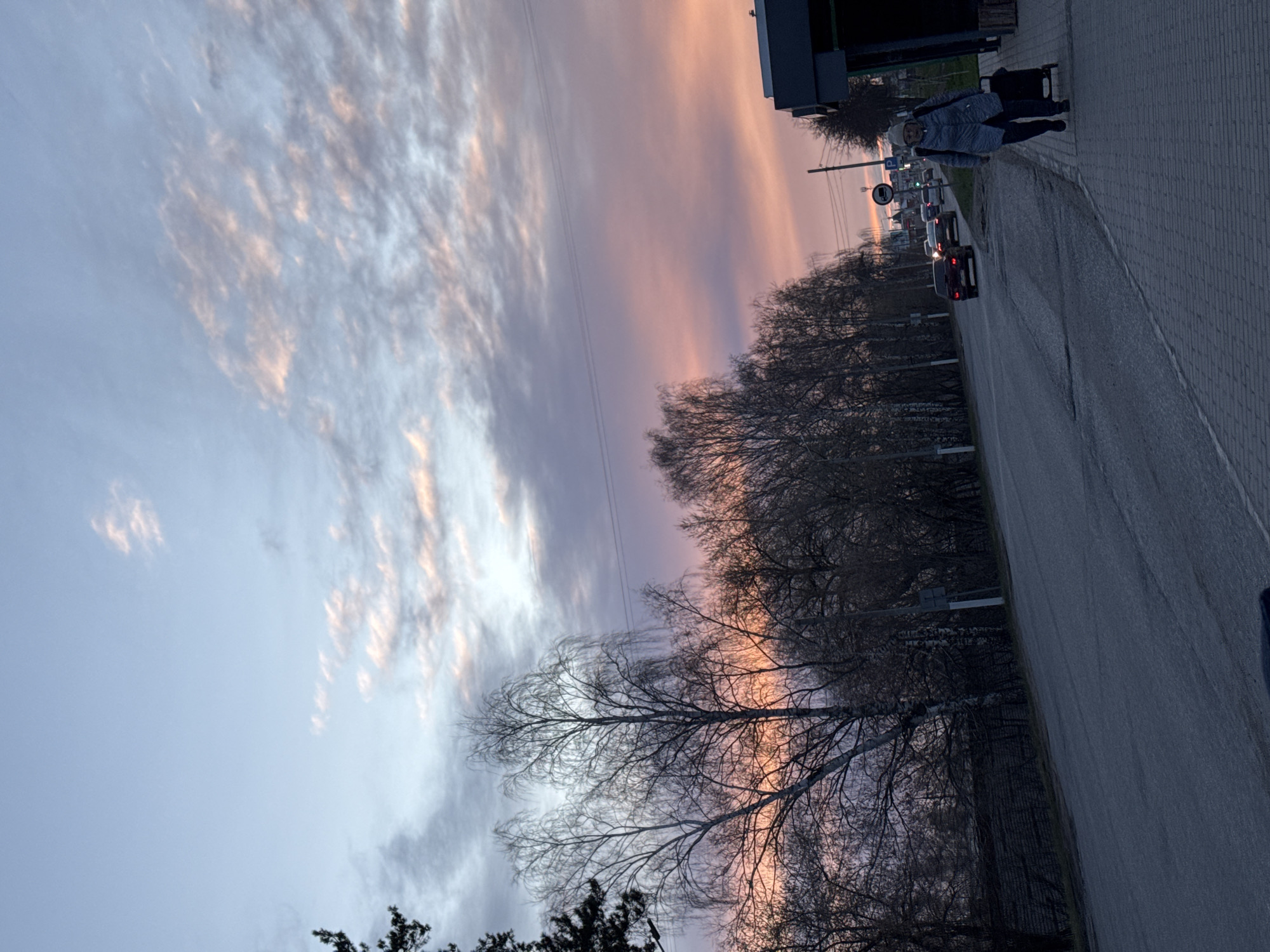 The image displays an outdoor scene in Chaikovsky, Russia, captured during either a sunrise or sunset. The sky dominates the upper portion of the frame, showcasing a striking gradient from light blue and soft grey on the left to warm hues of pink and orange on the right. Wispy, elongated clouds are scattered across the sky, catching and reflecting the warm light.
A long, paved asphalt road runs through the middle ground, extending towards the horizon. Alongside the road, on the right, there is a pedestrian sidewalk constructed from grey interlocking bricks. A line of bare deciduous trees, characteristic of late autumn or winter, borders the road, their dark, intricate branches silhouetted against the sky. A distinct tree with lighter, possibly birch, bark stands closer to the viewer on the left side.
On the sidewalk, a person is walking away from the camera, pushing a black wheeled suitcase or bag. This individual is dressed in a light-colored jacket and a white hat. Further down the road, several cars are visible, with one vehicle closer to the foreground showing illuminated red taillights. In the distance, above the road, a circular road sign is partially discernible. A dark building or structure is visible on the far right, adjacent to the sidewalk. The overall atmosphere is calm and transitional, bathed in the soft, natural light of dawn or dusk. No discernible text is visible on any signs or structures.