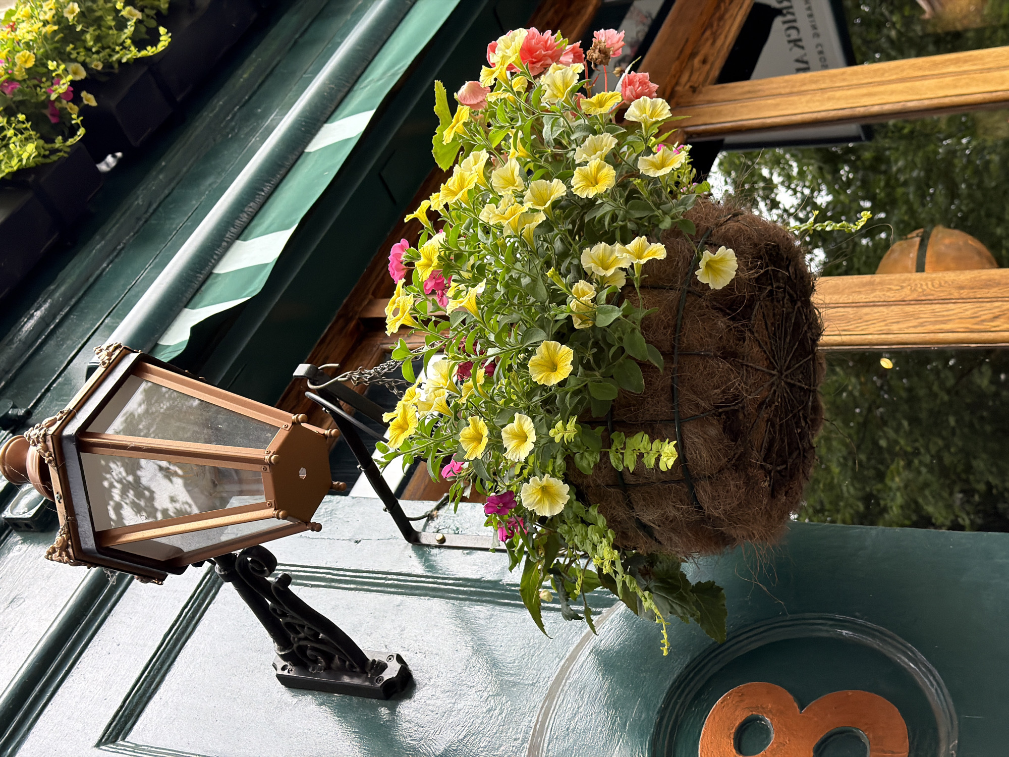 This detailed image captures the exterior of a building entrance on Brick Lane, London, United Kingdom, specifically at number 8. The scene is dominated by a hanging floral display and architectural features.
On the left, a dark teal-green wooden door with visible grain serves as the background. Affixed to the door, slightly below the top, is an orange number "8" presented in a circular recess. Above and to the right of the number, a vintage-style lantern is mounted on a decorative black wrought-iron bracket. The lantern features a copper-toned frame with clear glass panels and ornate detailing at its top.
Below the lantern, a round hanging basket, constructed with a coir liner within a wire frame, is suspended by a chain. This basket overflows with numerous vibrant yellow and fuchsia pink petunia-like flowers, interspersed with trailing light green foliage.
To the right of the floral basket and lantern, a green and white striped awning is partially visible, rolled up above a wooden window frame. The glass pane within the wooden frame reflects the surroundings, clearly showing reversed text that reads "BRICK LANE" at the top and "COFFEE ROASTERS" below it, confirming the location. The reflection also includes blurred green foliage from nearby trees. The overall lighting suggests an overcast or softly lit day.