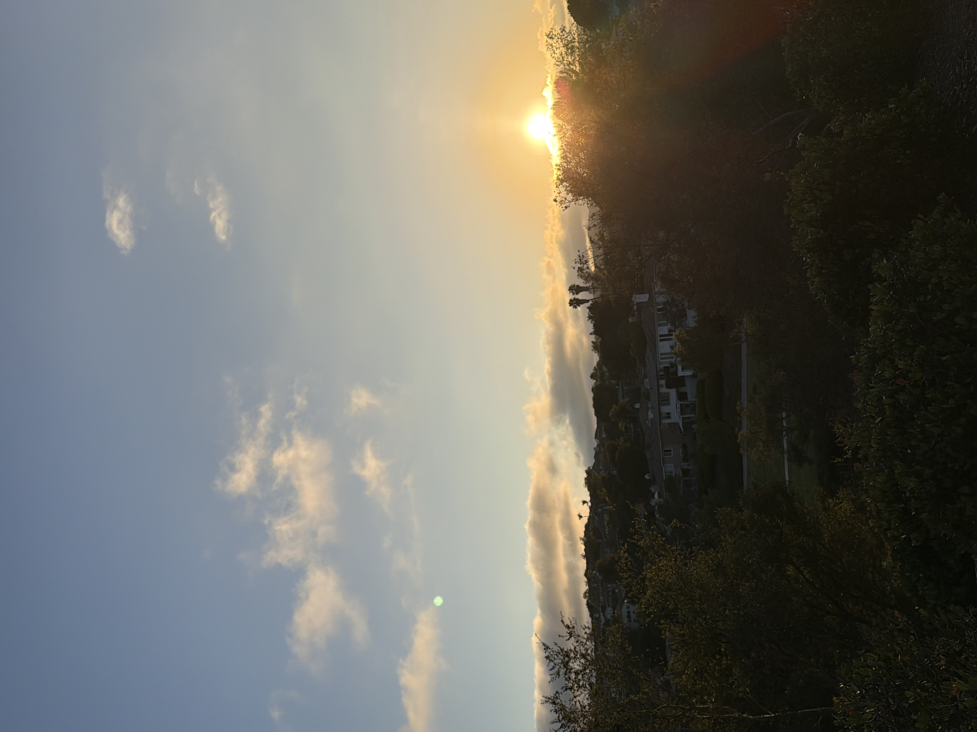 The image depicts a sunset over a residential area in Aliso Viejo, California. The sun is low on the horizon, casting a warm glow across the sky and illuminating the clouds. In the foreground, dark silhouettes of trees and bushes frame the scene. Beyond the foliage, houses with white roofs are visible nestled on a hillside. Palm trees can be seen poking up above the houses. The sky is a gradient of blue and orange, with scattered clouds. There are no people or animals visible in the image. The overall impression is one of a peaceful evening in a suburban setting.