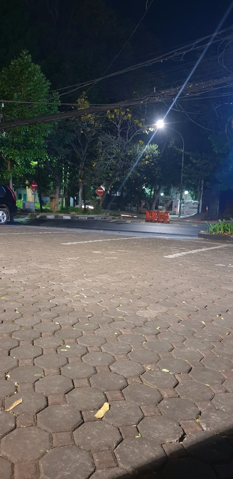 The image captures a nighttime scene on a brick-paved area in the city of Bandung, Indonesia. In the foreground, the textured hexagonal bricks are visible, with scattered yellow leaves on them. In the midground, a road is present, with markings indicating parking spaces. To the left, the rear of a dark-colored vehicle is parked. Beyond the road, trees with green foliage and some with yellow flowers are illuminated by a street lamp. Traffic cones are placed in the road, and signage is visible on posts among the trees. Overhead, a complex network of electrical wires crisscrosses the sky. The lighting suggests an urban environment at night, likely a public area such as a parking lot or a street in a park.