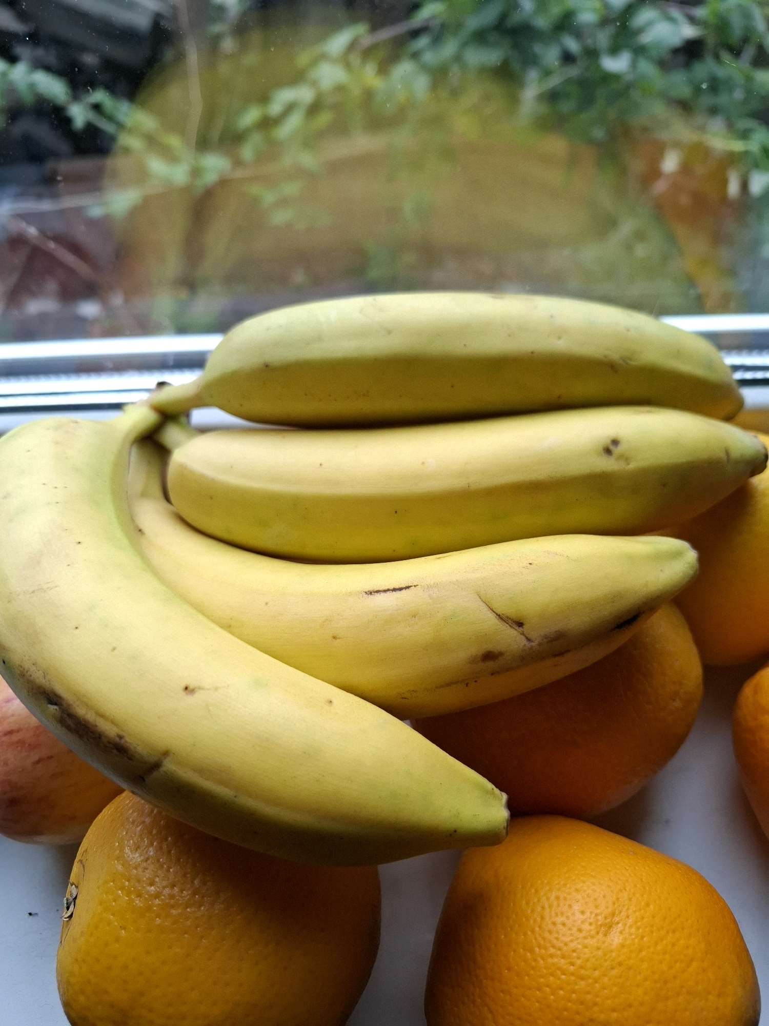 A close-up, eye-level shot features a stack of yellow bananas and oranges resting on a white surface, possibly a windowsill, with a blurred background of greenery seen through glass. Three bananas are stacked horizontally, with the bottom banana being the largest and curving prominently into the foreground. Beneath the bananas, several oranges are visible, with their textured skin showing. The lighting is natural and somewhat diffused. The scene is indoors, with the reflection of an outdoor environment visible through a window. There are no people or animals present. The image does not contain any information that allows for its location to be identified in the city of Tyumen, Russia.