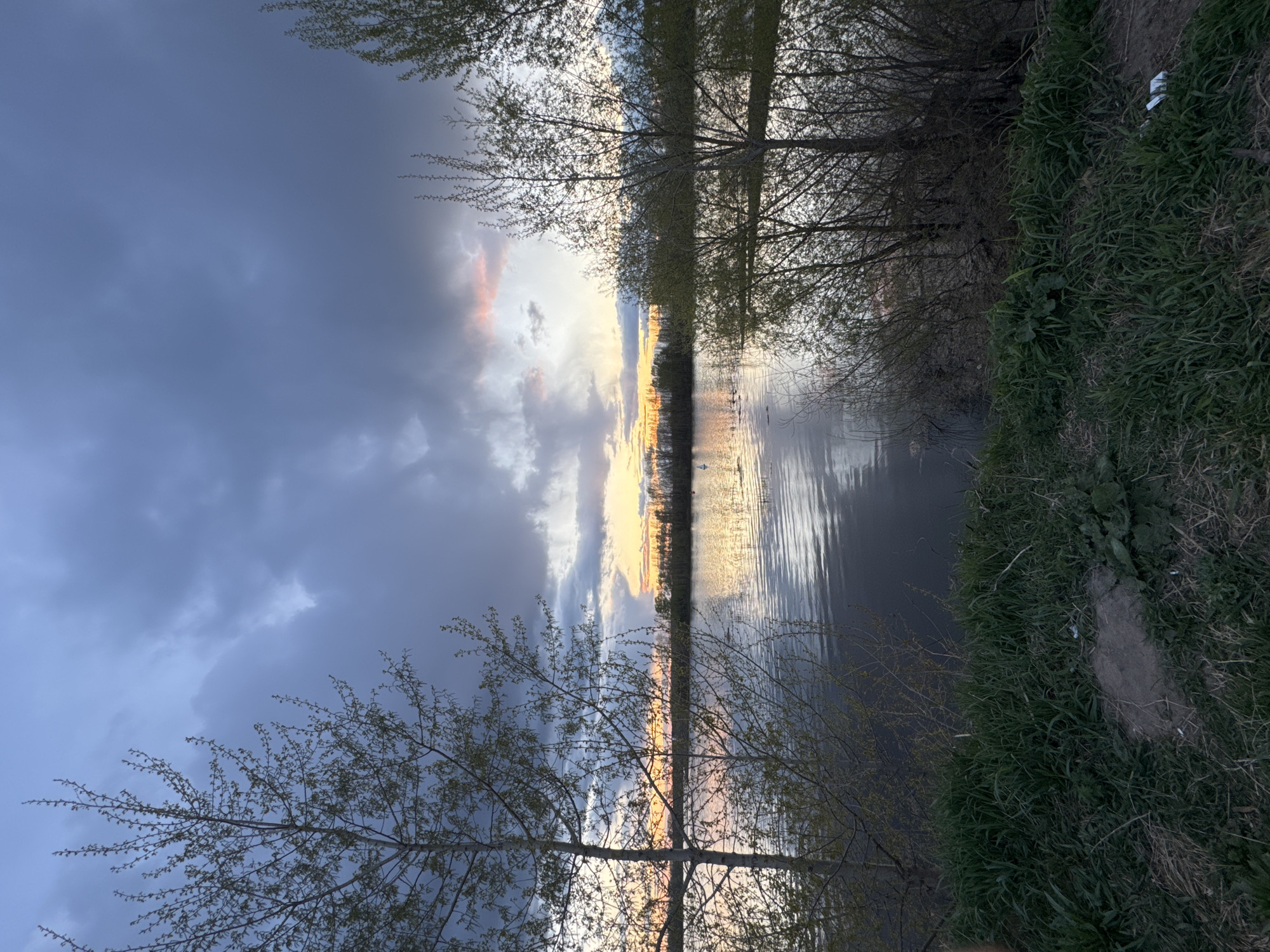 The image depicts a view of a water body, likely a river or large pond, framed by trees and vegetation. The sky is partly cloudy with a sunset or sunrise illuminating the clouds with hues of gold and pink. Darker storm clouds are also present. The water surface reflects the colors of the sky. The left and right banks are lined with vegetation, including trees with sparse foliage, and grass. The image has been taken at a slight angle, giving the impression of looking upwards. Given the context, the location is possibly a park or natural area near Chaikovsky, Russia. There are no people visible in the image.