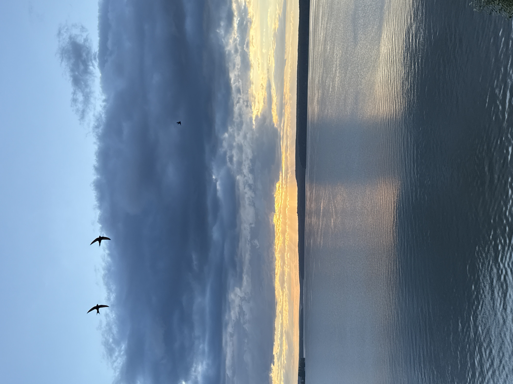 This is a vertical, slightly low-angle, outdoor shot of a body of water at sunset. The water, likely a lake, occupies the right side of the frame, with gentle ripples reflecting the sky's colors. On the left side, a dramatic sky stretches across the frame, filled with a mix of dark, heavy clouds and brighter, sunlit clouds, suggesting a partly cloudy evening. The sun's rays are visible as they break through the clouds near the horizon, casting a warm, golden glow.
Three dark silhouettes of birds are captured in flight. Two are close together in the lower left, while a third, smaller silhouette is higher up and to the right, near the edge of the dark clouds. The overall atmosphere is serene and slightly dramatic, with the contrast between the dark clouds and the sunset light creating a sense of awe. The location is Votkinsk, Russia, and the time of day is sunset. There is no visible text in the image.