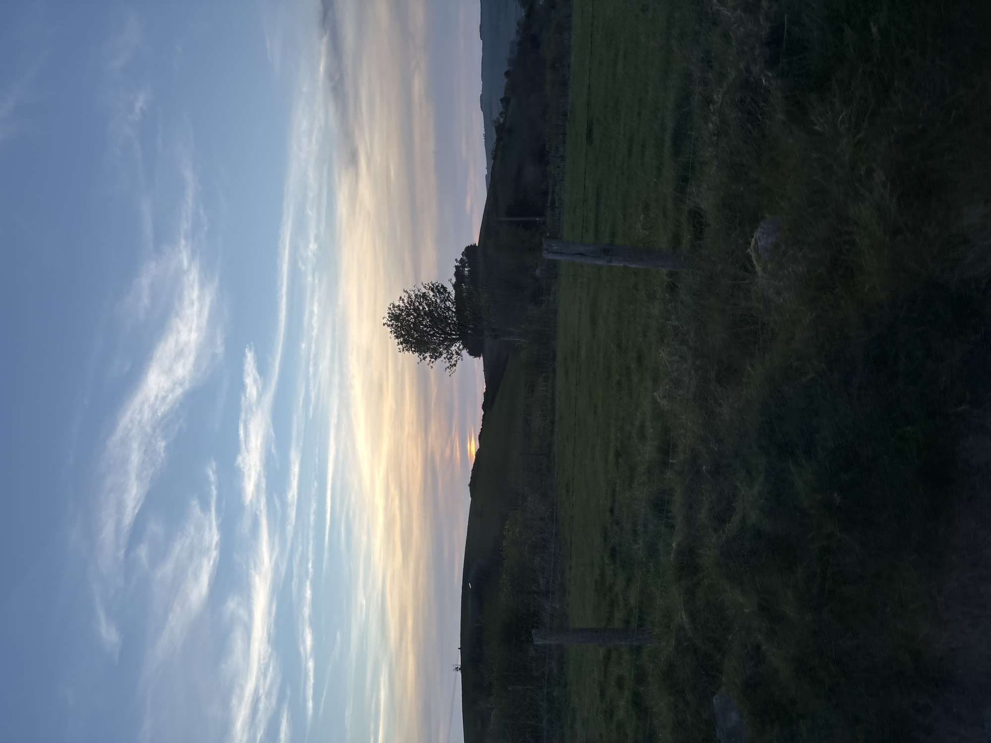 The image depicts a rural landscape at dusk, likely near Shrewsbury, United Kingdom, although specific features confirming the exact location are absent. The scene is divided between a sky with streaky cirrus clouds tinged with orange and blue hues, suggesting sunset or sunrise, and a field. The field is mainly green, with a darker area in the foreground, probably due to shadow or denser vegetation. A thin line of trees and vegetation sits atop a distant hill. A solitary, leafless tree is prominently positioned in the middle ground. A wooden fence line with posts runs through the field.