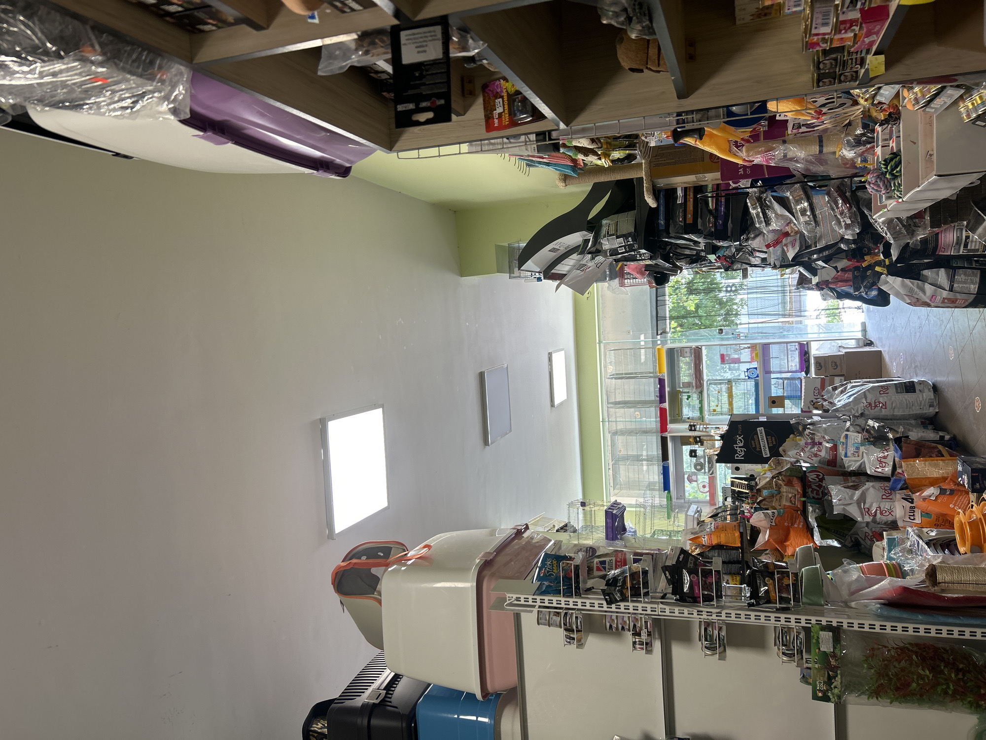 The image displays the interior of a retail space, likely a pet supply store, filled with various products. The room has light-colored walls and a light green upper wall or ceiling section. Natural light streams in from a large glass door or window at the far end, suggesting it is daytime.
The store is densely stocked with pet-related merchandise. Several shelving units, a mix of wooden and metal, line the walls and stand in the center of the room. These shelves are packed with numerous packaged items, including bags of pet food, treats, and accessories. Large bags of pet food are also stacked directly on the floor near the back window. Brands such as "Reflex Plus," "Reflex," "Club 4 Paws," "Hill's Science Diet," and "Sticks" are visible on product packaging.
Other discernible items include several pet carriers – one purple and white, another cream and orange/pink – placed on or under shelves. Pet toys, such as a yellow bird toy and various other wrapped items, are scattered among the merchandise. A cat tree or scratching post is also visible. Near the window, multiple wire cages or enclosures are stacked, and a display of artificial green leafy plants, possibly for aquariums or terrariums, is on a lower shelf. A black object resembling a cash register or monitor is partially visible on a counter. Two square LED panel lights are mounted on the wall. Packaging for a "Hopy Thermometer" is also noticeable.
No people are present in the image, but the arrangement of products suggests an active retail environment ready for customers. The overall impression is that of a well-supplied pet store.