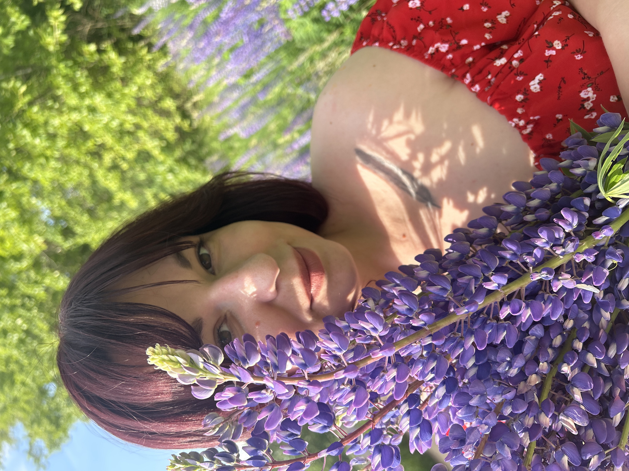In the city of Garevaya, Russia, a woman with dark auburn hair and bangs poses for a photo outdoors, holding a bouquet of purple lupine flowers in the foreground. She is wearing a red dress with a white floral pattern. The background features a blurred field of purple lupine flowers and lush green trees under a bright sky, suggesting a sunny day in a park or rural setting. The woman's face is partially obscured by the flowers, and she is looking towards the camera with a gentle smile. Sunlight casts dappled shadows on her shoulder and chest, indicating the presence of nearby foliage.