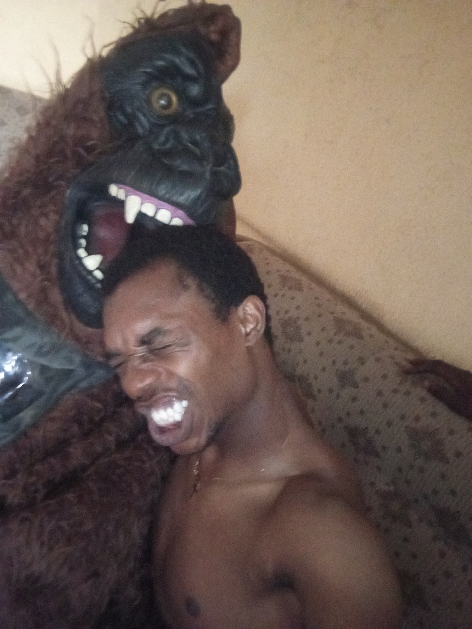 An indoor, close-up shot captures a dynamic and humorous scene featuring a person and a large gorilla mask. The central subject is a dark-skinned male with short, dark hair, positioned to the right of the gorilla mask. He appears shirtless, with his upper torso visible. His face is contorted in an exaggerated expression, eyes squeezed shut, and mouth wide open revealing bright white teeth, suggesting either mock distress, a scream, or intense laughter.
To the left and slightly behind the person is a prominent gorilla mask or costume head. It has shaggy, dark brown fur around a black face. One large, round yellow eye is visible, and its mouth is wide open, displaying rows of white teeth, including prominent canines, and pink gums, giving it a roaring or aggressive appearance.
The subjects are situated against a light-colored, patterned sofa or large cushion, which is partially visible in the lower right and behind the person. The background consists of a plain, light-colored wall. The lighting suggests an indoor setting, with no specific time of day discernible. No visible text is present in the image. The overall impression is one of playful interaction or a staged humorous photo.