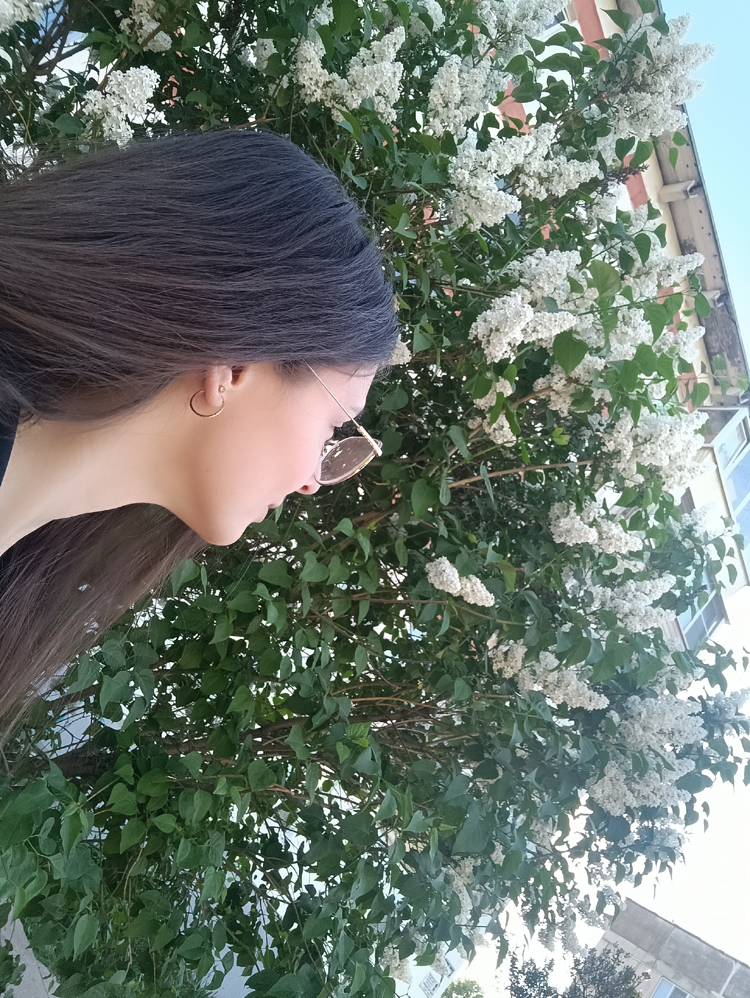 A profile view of a woman with long dark hair and sunglasses is framed by a flowering tree in the city of Unknown, Unknown. She wears a small gold hoop earring. The tree is dense with green leaves and clusters of small white flowers. A building is visible behind the tree, showing windows and a section of the roof. The sky is blue in the top right corner.
