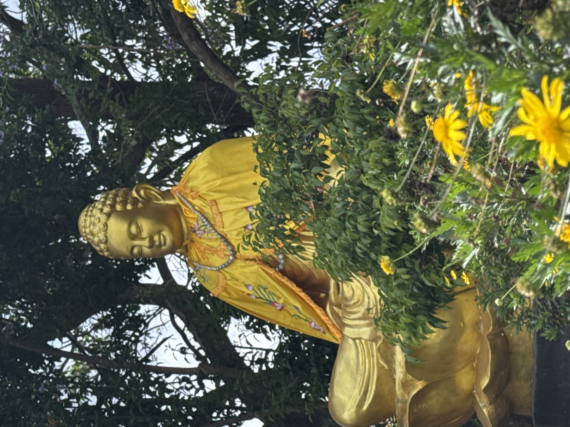 A gold-colored Buddha statue is seated amidst lush greenery and trees in Lâm Viên - Đà Lạt, Vietnam. The Buddha is adorned with a yellow robe embroidered with floral patterns and a pearl necklace. The statue is positioned on what appears to be a lotus flower base. In the foreground, bright yellow flowers and green foliage surround the base of the statue, partially obscuring it. The background consists of dense tree foliage and a glimpse of the sky.