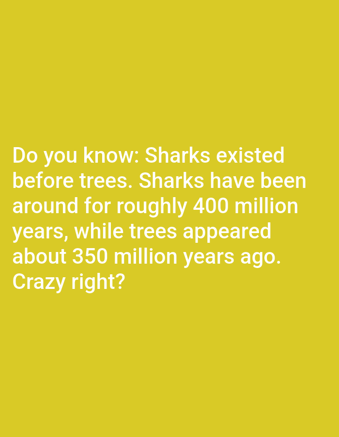The image contains text on a yellow background. The text reads: "Do you know: Sharks existed before trees. Sharks have been around for roughly 400 million years, while trees appeared about 350 million years ago. Crazy right?"
