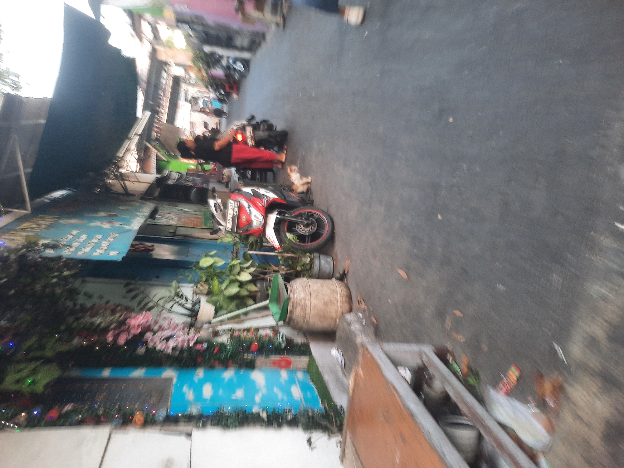 In North Jakarta, Indonesia, a narrow street is lined with buildings and awnings. On the left, a building facade is decorated with blue sky and clouds mural and Christmas lights. A wooden barrel stands next to it, topped with a green funnel. In the foreground, a wooden bench with a metal frame sits on the pavement. A red and white scooter is parked in the street, with a light brown cat sitting beside it. A woman in a black shirt and red pants stands near the scooter. Further down the street, other buildings and parked motorcycles are visible, with people walking in the distance. The scene appears to be outdoors during the daytime, with the lighting suggesting overcast or late afternoon conditions.