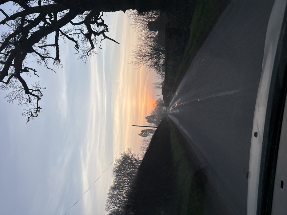 A forensic examination of the image reveals a rural road scene in Ruyton-XI-Towns, United Kingdom, at either sunrise or sunset. The perspective is from inside a vehicle, with a dark dashboard visible across the bottom of the frame. The asphalt road surface is wet, reflecting the sky's light, and features a faded white dashed center line extending into the distance.
The sky occupies the upper portion, displaying a gradient from pale blue and light grey at the top to vibrant orange and yellow hues at the horizon. A bright, circular orange sun is visible low on the horizon, partially obscured by distant trees and atmospheric haze, indicating the low angle of the sun.
Along the left side of the road, a dark, dense hedgerow or line of bare trees forms a continuous barrier. Behind this, additional bare deciduous trees are silhouetted against the lighter sky. A utility pole with a single overhead wire extends from the left foreground upwards.
On the right side of the road, a low stone wall covered in dark green vegetation, possibly ivy, runs parallel to the roadway. Behind this wall, several bare deciduous trees and the dark silhouette of a building or structure are visible. Dominating the upper right quadrant is a large, dark, gnarled deciduous tree with numerous bare branches extending into the sky.
No human figures, animals, or other active vehicles are visible in the scene. The wet road surface and atmospheric haze contribute to a slightly muted and reflective environment.