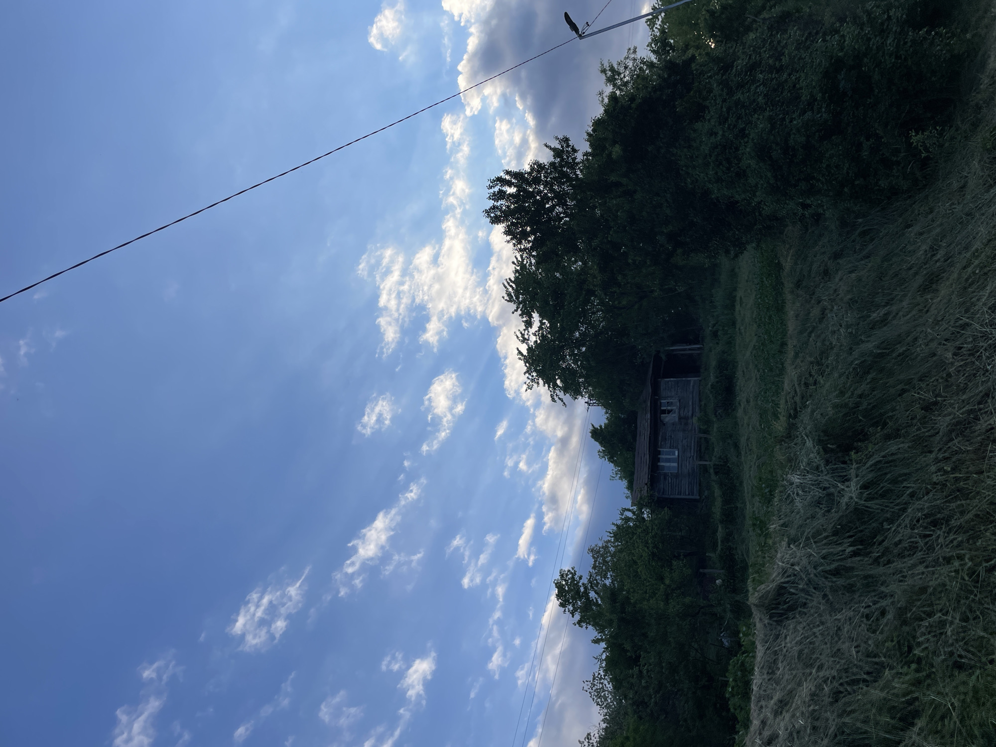 The image shows a landscape in Zlatograd, Bulgaria, with an old, weathered wooden building partially obscured by trees and tall grass. A utility pole and wire are visible against a blue sky with scattered clouds. No people are visible. The scene appears to be rural or on the outskirts of the city.