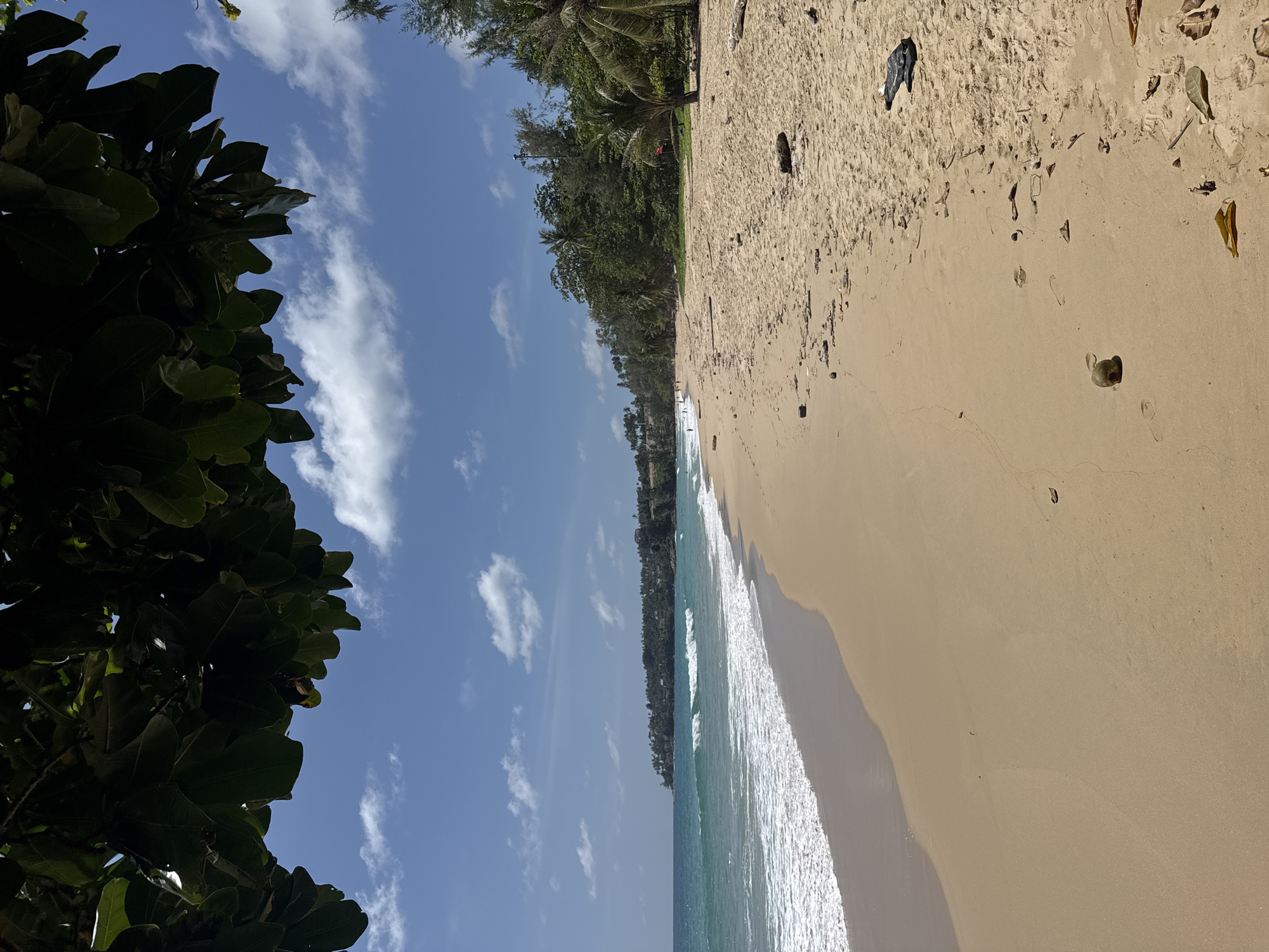 A wide, sandy beach stretches along the coast under a bright blue sky with scattered white clouds. The ocean, a vibrant turquoise, gently laps the shore with small, white-capped waves. Lush green foliage and palm trees line the edge of the beach, with a distant headland covered in dense vegetation visible to the left. The sand is mostly clean, with some scattered debris such as dried leaves, small pieces of wood, and a coconut. Footprints are visible in the sand, indicating recent human presence. A few people can be seen in the distance walking along the shoreline. The scene evokes a peaceful and tropical atmosphere. The location is believed to be Choeng Thale, Thailand.