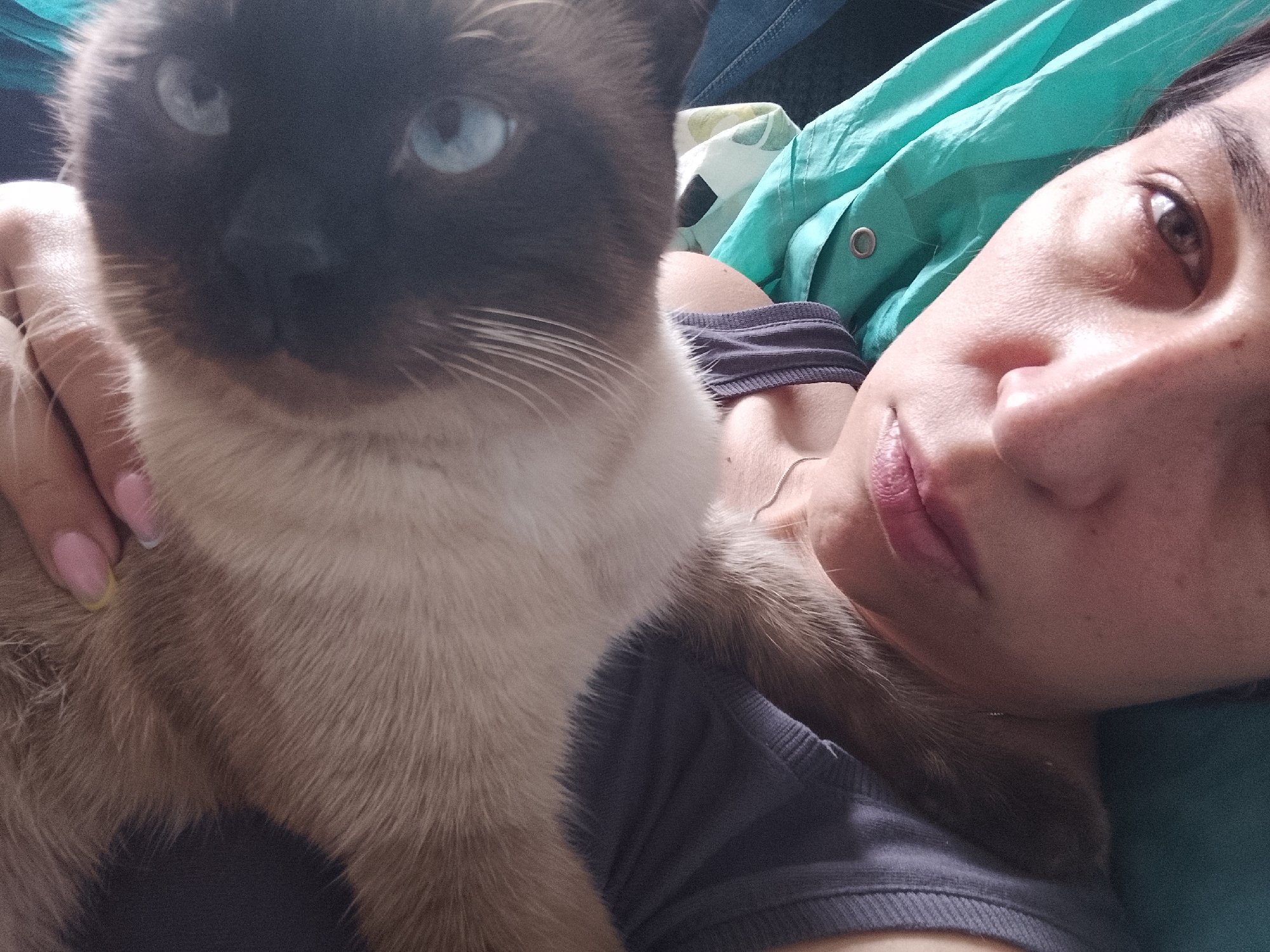 The image is a close-up, personal photograph taken indoors, likely in a residential setting in Almaty, Kazakhstan, given the metadata. The scene features a Siamese cat and a person. The cat, positioned on the left of the frame, is dark brown and cream-colored with striking blue eyes. Its face is partially obscured by a human hand with light pink nail polish. The cat's fur appears soft and fluffy. To the right of the cat is a person, seen from the chest up, lying down. The person is wearing a grey t-shirt and has dark hair. Their face is turned towards the camera, with one eye visible and the lips slightly parted, suggesting a relaxed or intimate moment. A turquoise fabric is draped behind the person, possibly part of bedding or clothing. The lighting is soft and diffused, creating a warm and cozy atmosphere. The overall impression is one of companionship and affection between the person and the cat.