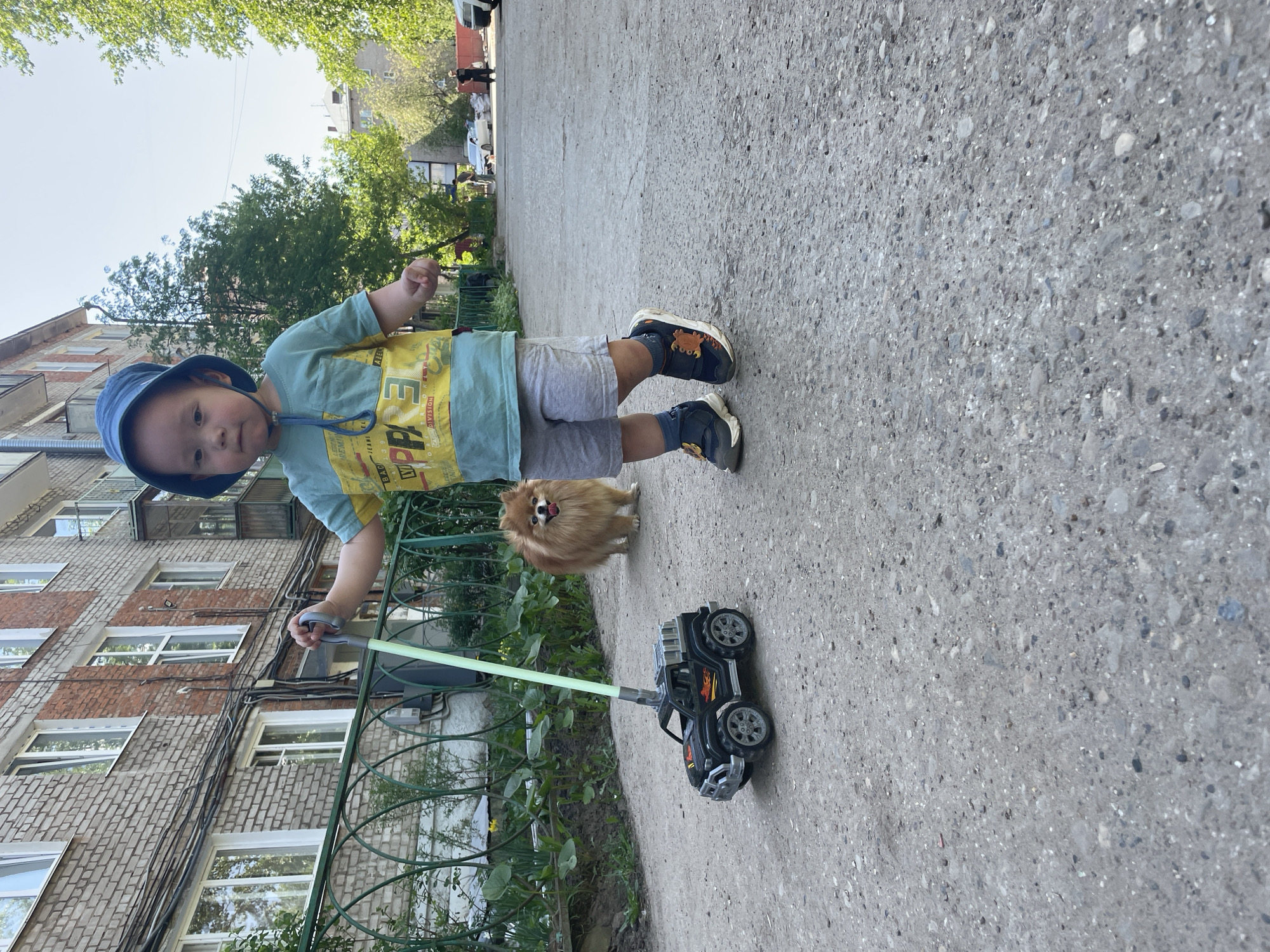 A young child in Perm, Russia, is standing on a concrete sidewalk. The child wears a blue hat, a light green and yellow shirt, and grey shorts, and is pulling a black toy truck with a green handle. A small orange dog stands near the child. In the background are buildings, trees, and a partially visible car.