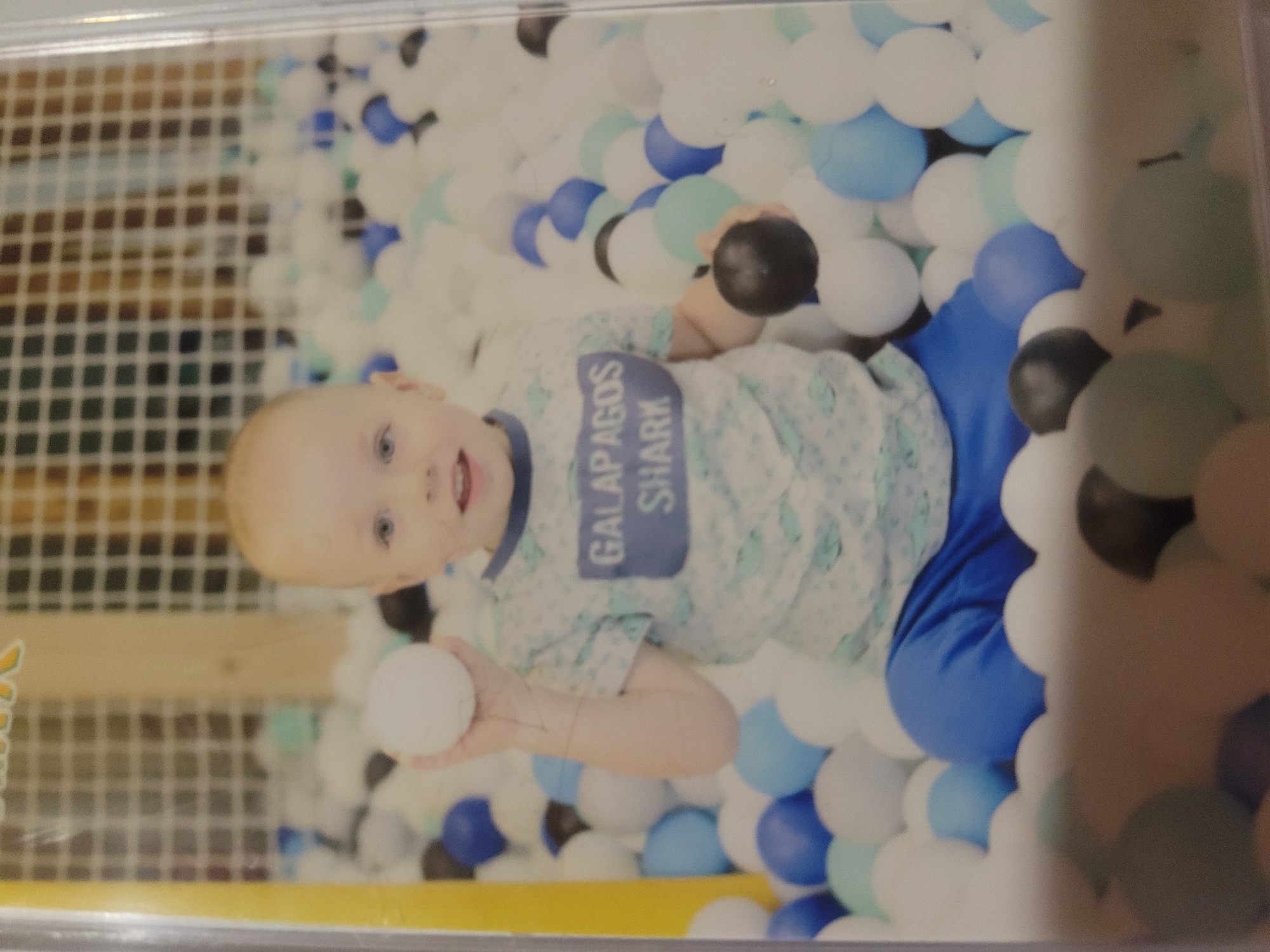 A young Caucasian boy with light skin and blonde hair is shown standing in a ball pit filled with various colored balls, including white, blue, and light green. He is wearing a light blue t-shirt with a white pattern and a blue collar, and blue pants. The t-shirt has a blue rectangular patch on the chest with white text that reads "GALAPAGOS SHARK". The boy is holding a white ball in his left hand and a dark colored ball in his right hand. The ball pit is enclosed by a netted barrier in the background, and a wooden post is visible behind the netting. The lighting suggests an indoor setting, possibly a children's play area. The specific location in Belaazyorsk, Belarus cannot be determined from the image alone.