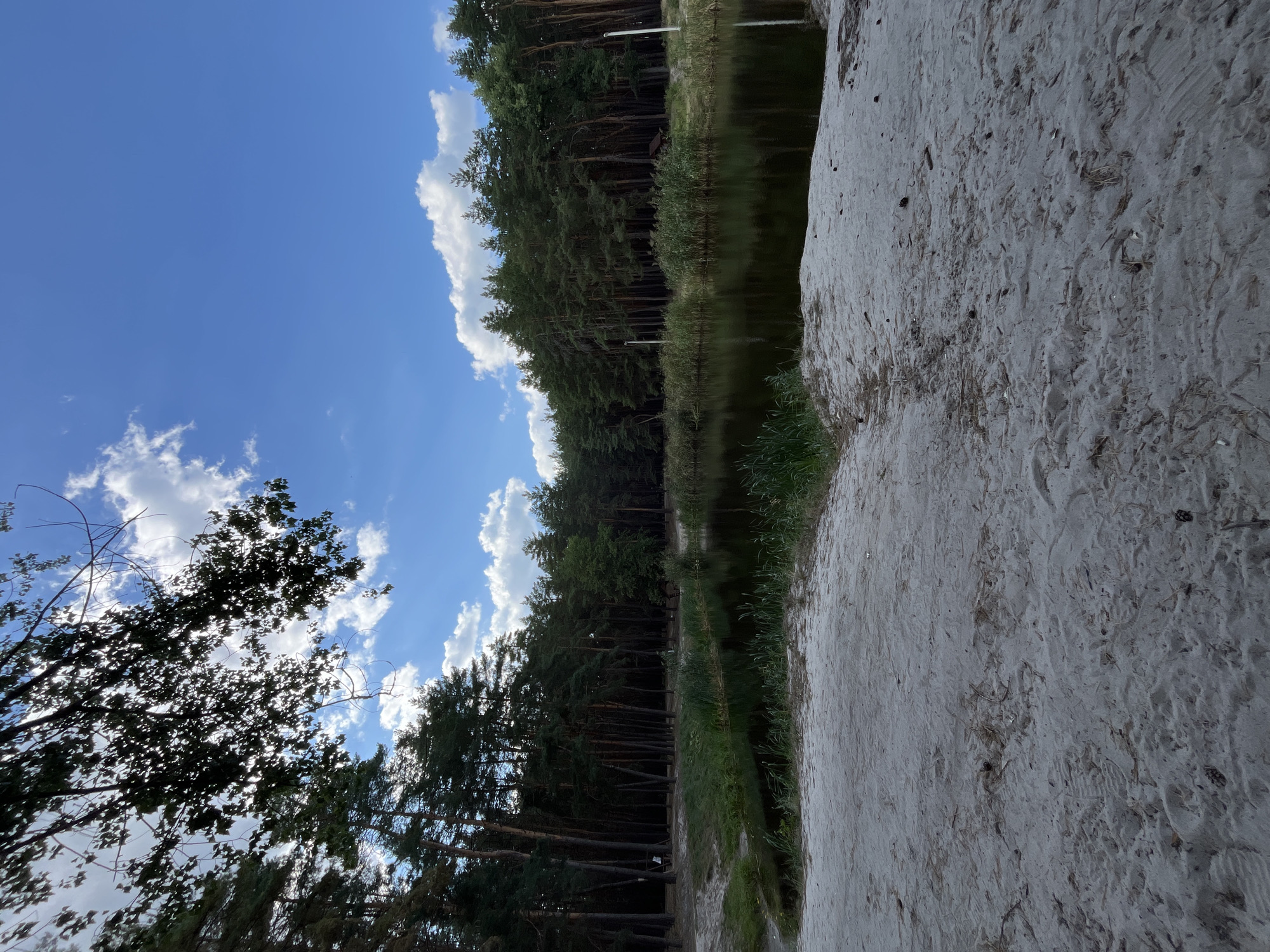 The image depicts a serene natural scene featuring a sandy shore leading to a dark, calm body of water. The water reflects the surrounding environment, including a dense forest of pine trees that forms a backdrop. The sky above is a vibrant blue, dotted with scattered white clouds, suggesting pleasant weather. The foreground is dominated by light-colored sand, with some scattered pine needles and debris, indicative of a natural beach or lakeside area. The transition from the sandy shore to the water's edge is marked by patches of green grass and reeds. The overall atmosphere is one of tranquility and natural beauty, typical of a forested lakeside in the outskirts of a city like Merefa, Ukraine, which is known for its natural landscapes.