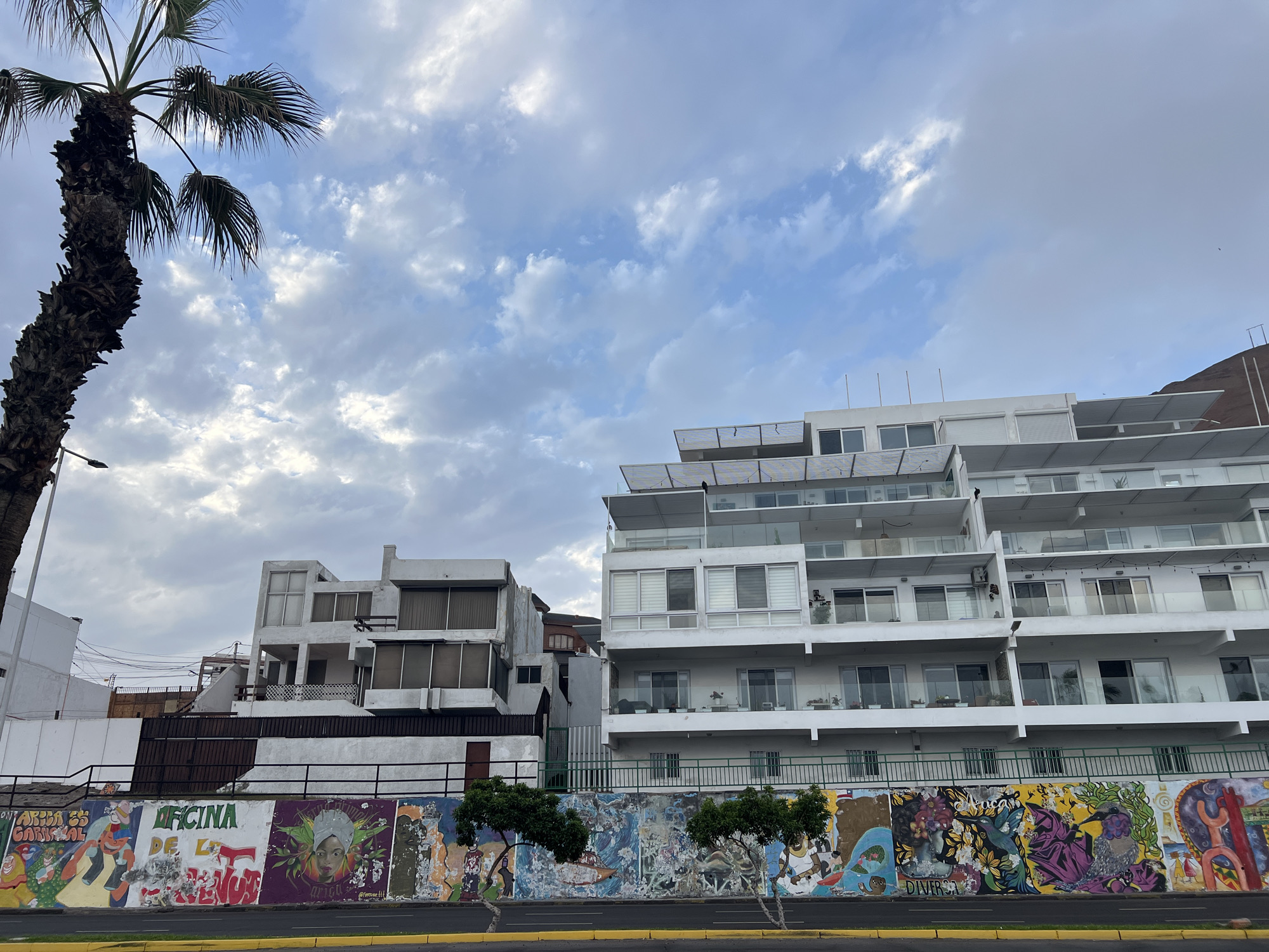 The image captures a street scene in Arica, Chile, featuring modern apartment buildings adorned with colorful graffiti art along a wall. On the left side, a tall palm tree with a weathered trunk and sparse fronds stands against a cloudy sky. To its right, two white, multi-story apartment buildings are visible. The building closer to the palm tree is shorter and appears to have a more traditional architectural style with balconies and windows. The building further to the right is taller and features a contemporary design with multiple levels of balconies, glass railings, and white facade. The wall at the base of the buildings is covered with vibrant murals depicting various figures, animals, and abstract designs. Two small trees with sparse foliage are planted in front of the mural. A road with yellow lane markings runs in the foreground. The sky is partly cloudy with patches of blue.