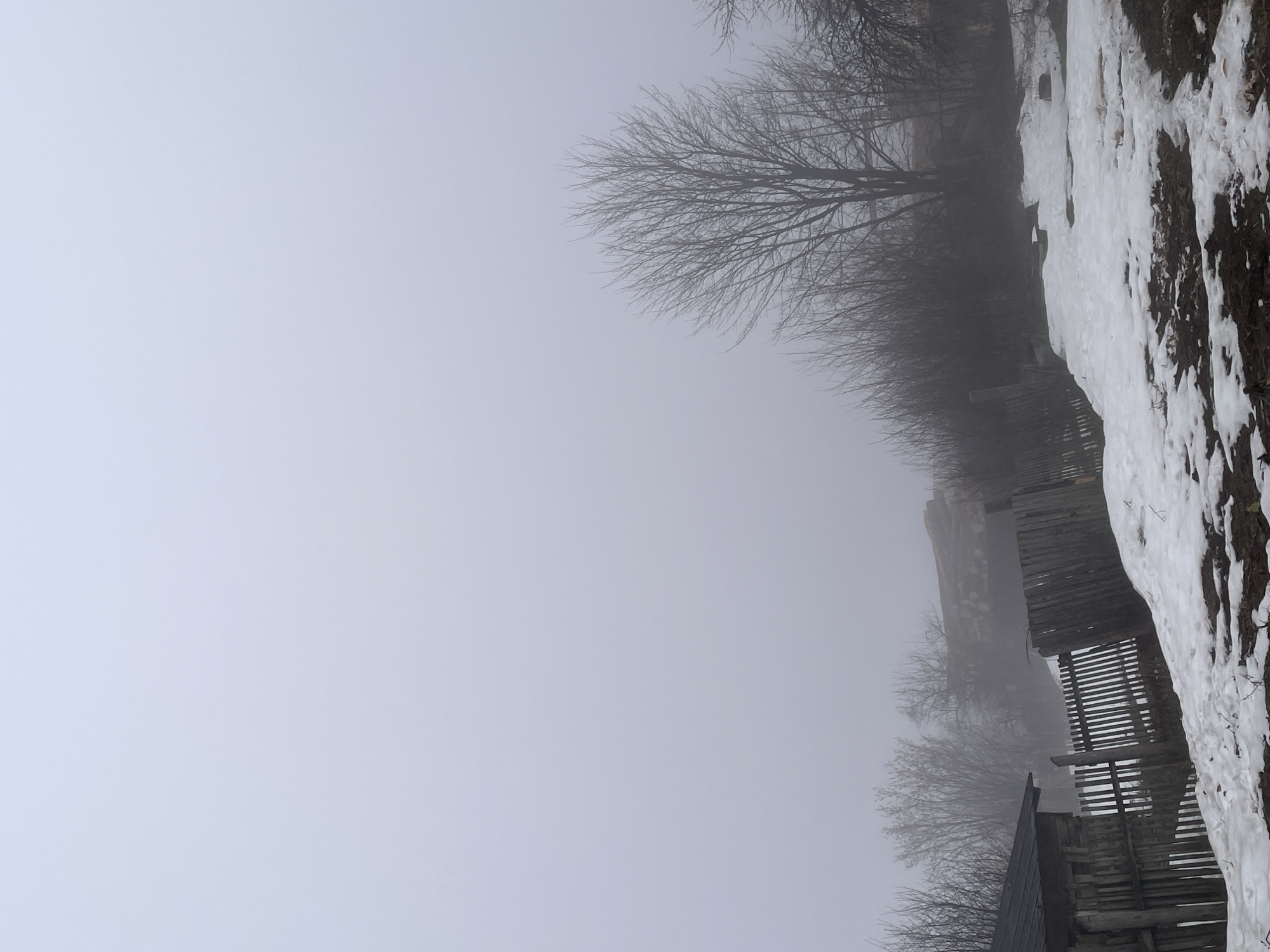 A winter scene in Фоки, Russia shows a rural landscape obscured by heavy fog. A wooden fence runs along the right side of the image, partially covered in snow. Patches of snow and bare ground are visible next to the fence. Beyond the fence, a line of bare trees stretches into the fog. The sky is a uniform grey, blending seamlessly with the fog. The visibility is very low due to the dense fog.