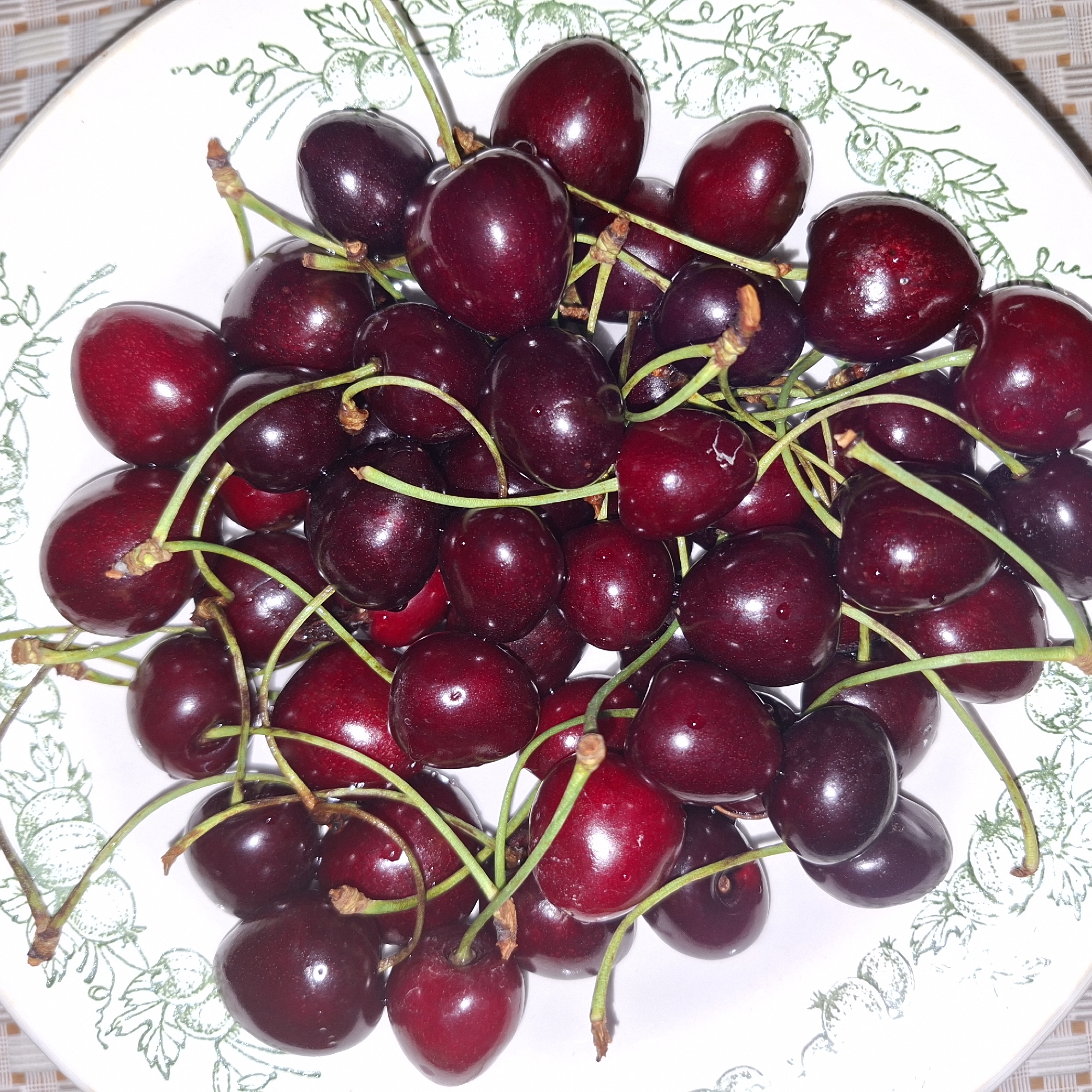 A close-up, overhead shot captures a white ceramic plate adorned with a green outline of berries, filled to the brim with ripe, dark red cherries. The cherries are clustered together, some still attached to their green stems, with a few water droplets visible on their glossy surfaces. The plate is set on a textured surface, possibly a tablecloth, with a faint grid pattern. There are no people or animals present in the image. The scene is static and focuses solely on the arrangement of the cherries on the plate. The image does not contain any information that would allow for a determination of its location in Mingachevir, Azerbaijan.