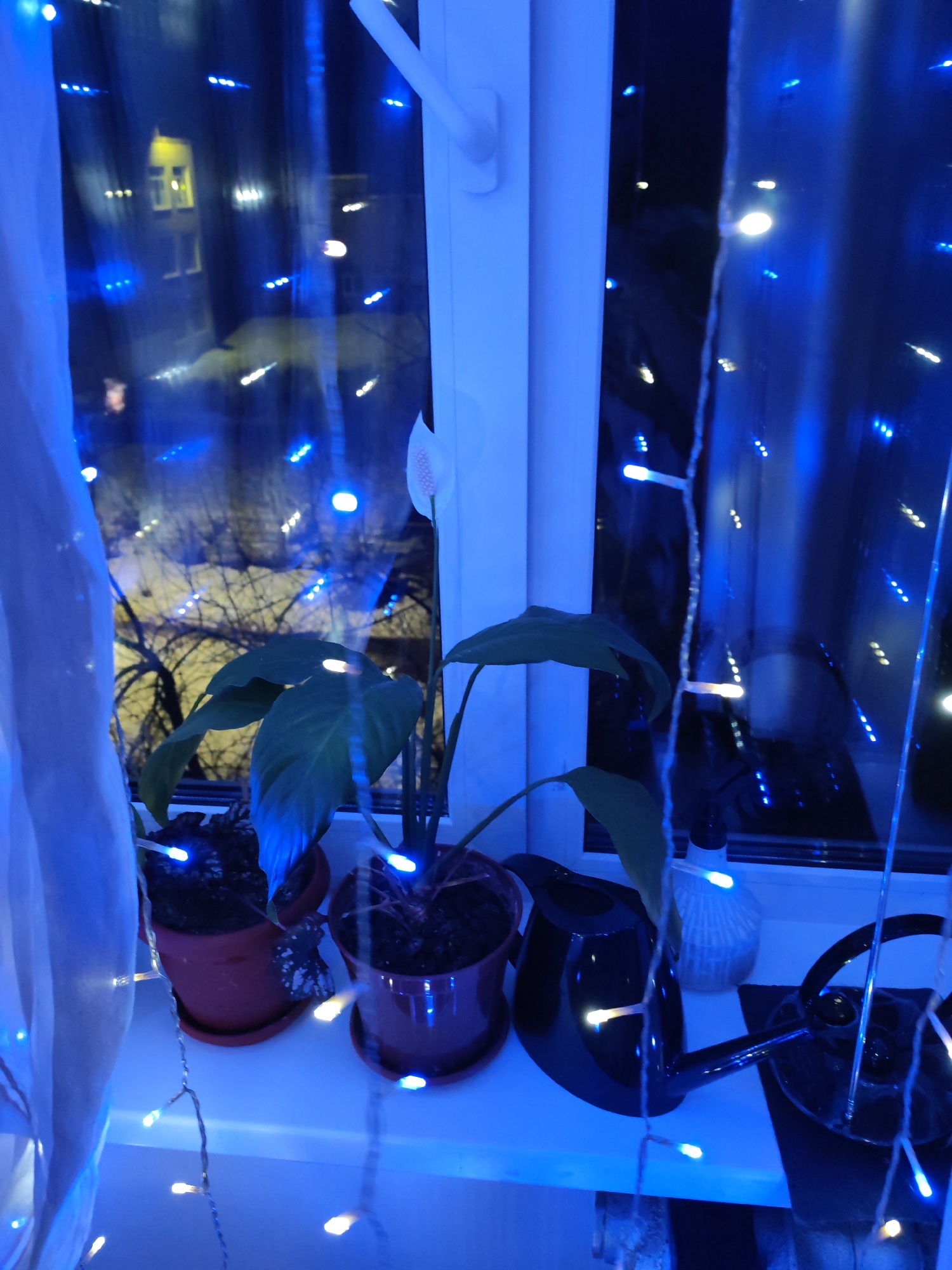 A windowsill in a residence in Chaikovsky, Russia, displays an arrangement of potted plants, watering cans, and decorative lights. Three potted plants sit on the sill, one with a white flower. Two black watering cans and a decorative white object are also present. Blue string lights are draped around the window and plants, illuminating the scene. Outside the window, a dark cityscape is visible with lit windows in a building across the way. Bare tree branches are silhouetted against the night sky.