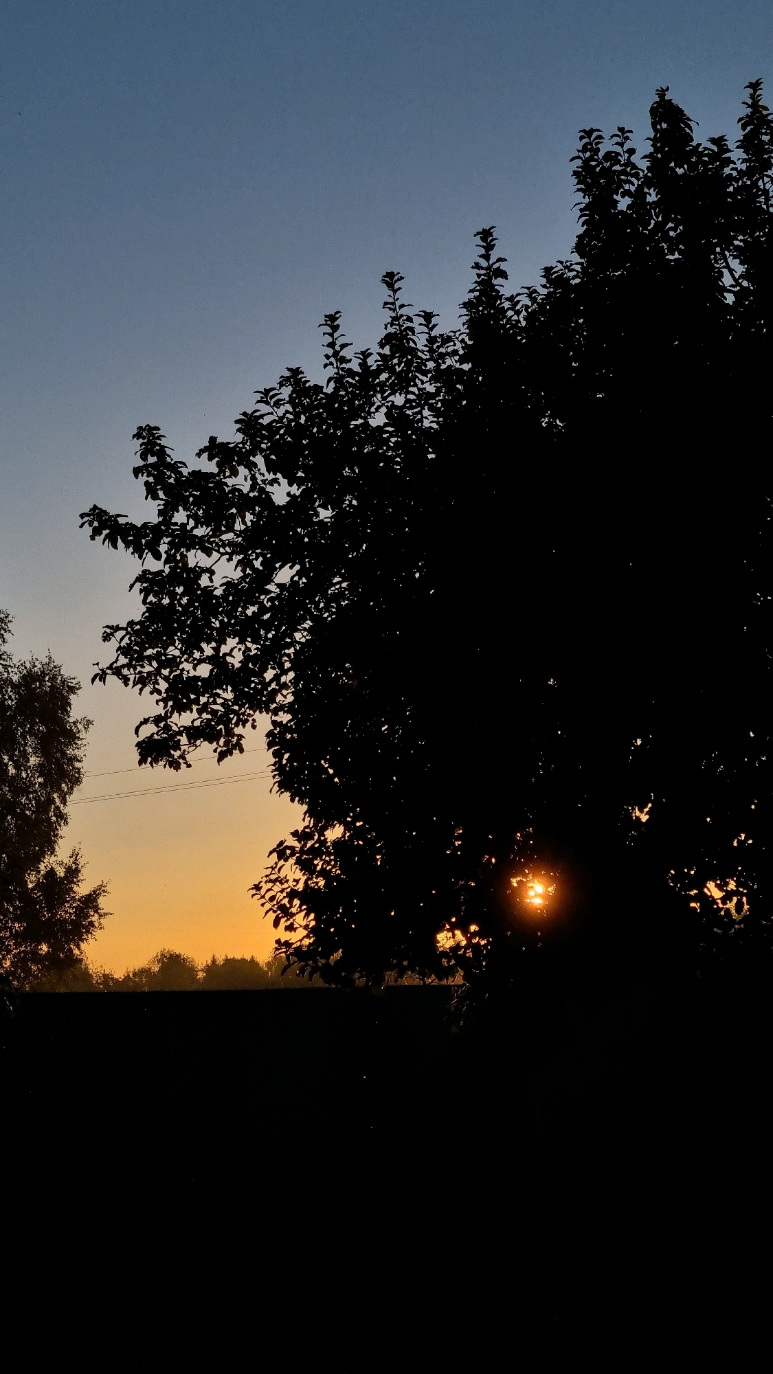 The image depicts a silhouette of a tree against a twilight sky. The sun, a bright orb, is partially visible through the leaves of the tree, casting a warm glow. The sky transitions from a deep blue at the top to a soft orange and yellow hue near the horizon. In the background, a line of trees and a dark, horizontal shape that could be a roofline are visible. A few thin lines, likely power lines, are strung across the sky. The overall scene is serene, capturing the peaceful transition from day to night in an outdoor environment.