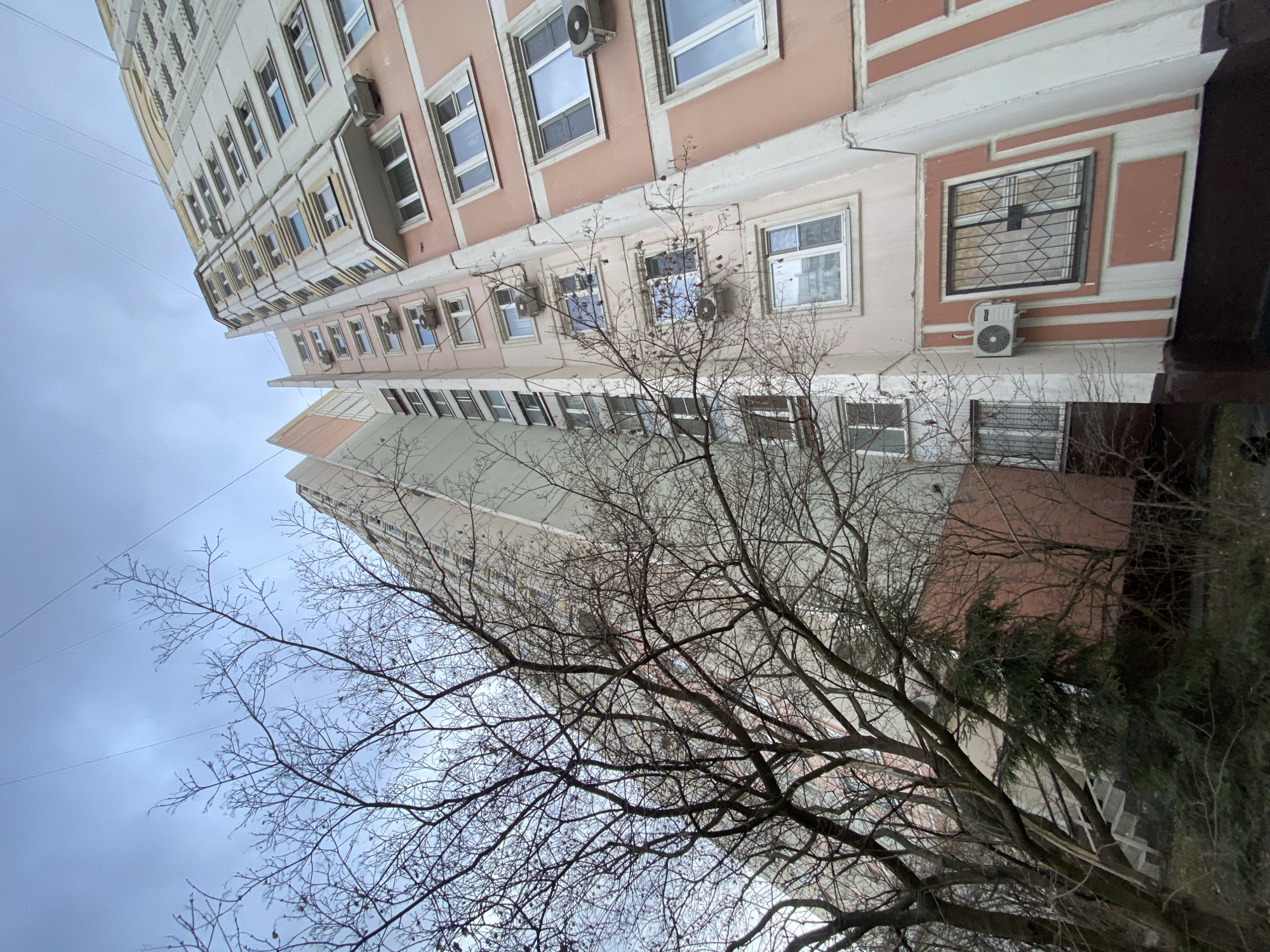 A low-angle view captures a multi-story building in Moscow, Russia, with a bare tree in the foreground. The building has a pink facade, visible air conditioning units beneath some windows, and barred windows on the right. The sky is overcast, lending a muted tone to the scene. The tree's bare branches create a stark contrast against the building and sky.