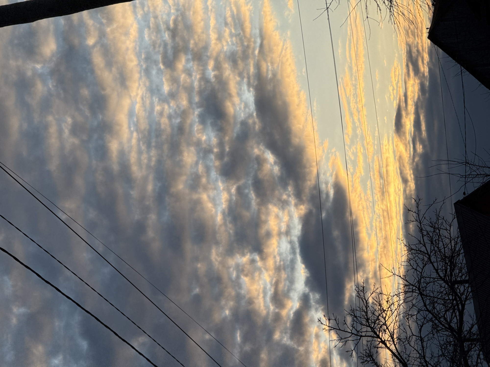 The image depicts a sky filled with striated clouds illuminated by the setting sun, taken in Chaikovsky, Russia. The clouds exhibit a gradient of greys and golden hues, indicating sunset. Silhouetted against the sky are electrical wires, branches of a bare tree, and the edge of a building. The image has been rotated, as the tree and building appear to be on the right side of the frame. The overall environment is urban, evidenced by the presence of infrastructure and buildings.