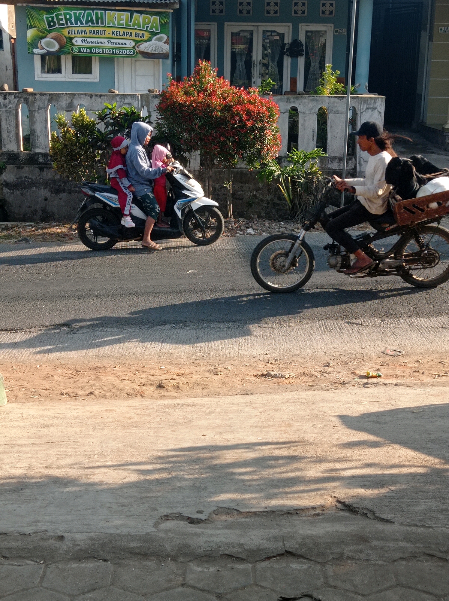 In Purwosekar, Indonesia, on a paved road with a dirt shoulder, a man wearing a white long-sleeved shirt, black pants, and a black baseball cap rides a motorcycle. He has a wooden crate attached to the back of his motorcycle, containing two black dogs, one with white markings. The sun casts long shadows on the road. In the background, a white and blue building is visible, with a sign that reads "BERKAH KELAPA" and includes images of coconuts and what appears to be grated coconut. A woman in a pink headscarf and a gray hoodie, along with two children, one in a red shirt and a pink headscarf, and another in a red top and pink pants, are on another motorcycle. They are positioned to the left of the man on the motorcycle. Lush green plants and a red-leafed bush are also present in the scene.