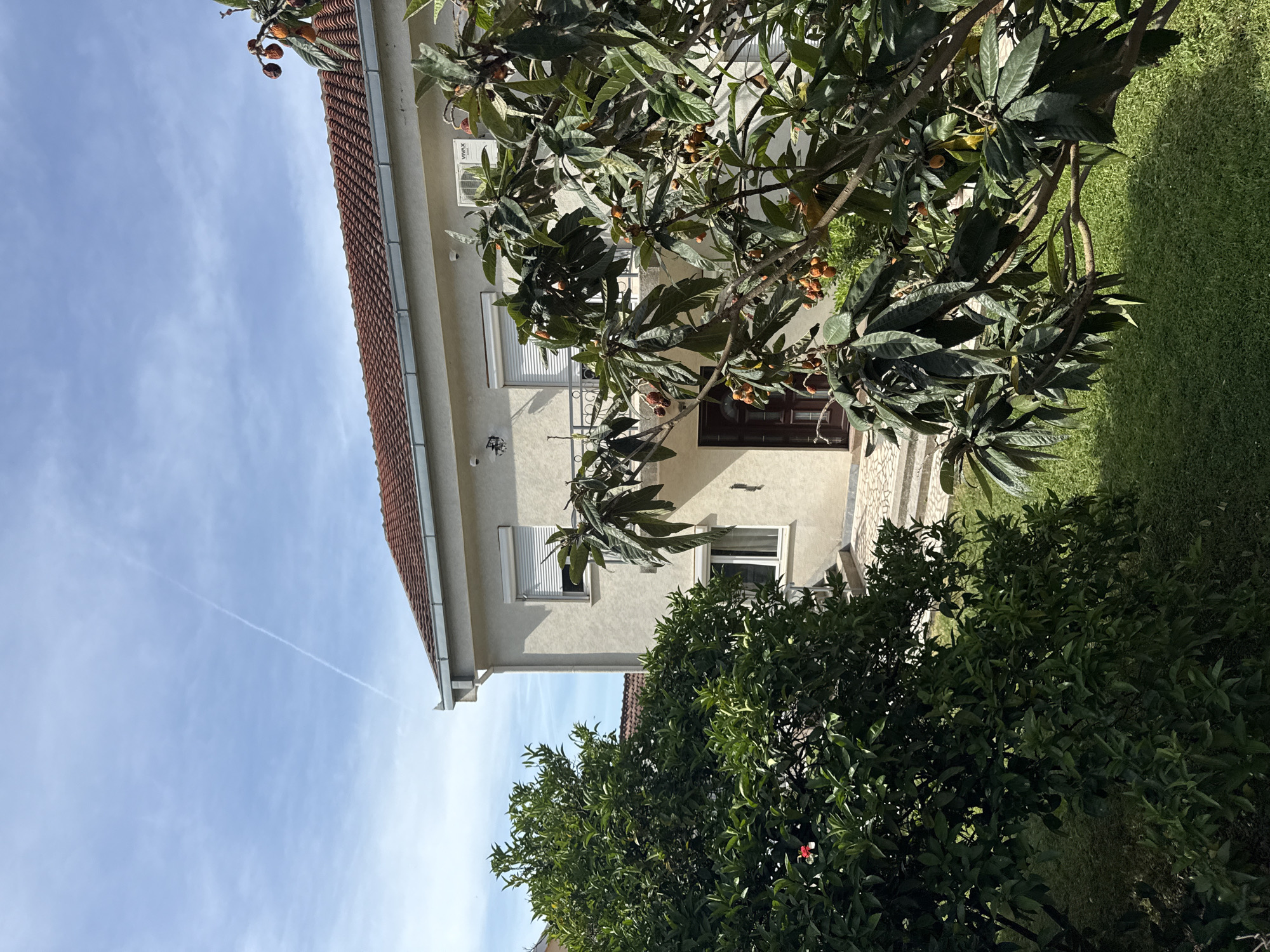 The image shows a two-story building with a tiled roof located in Budva, Montenegro. The building has a light-colored facade and several windows with closed shutters. A dark brown front door is visible. The building is partially obscured by trees with green foliage, and some of them have yellow and orange fruits. The sky is blue with some clouds and a contrail. A patch of green grass is visible near the right edge of the image. A paved walkway leads up to the entrance of the building. An air conditioning unit is mounted on the exterior wall of the building.