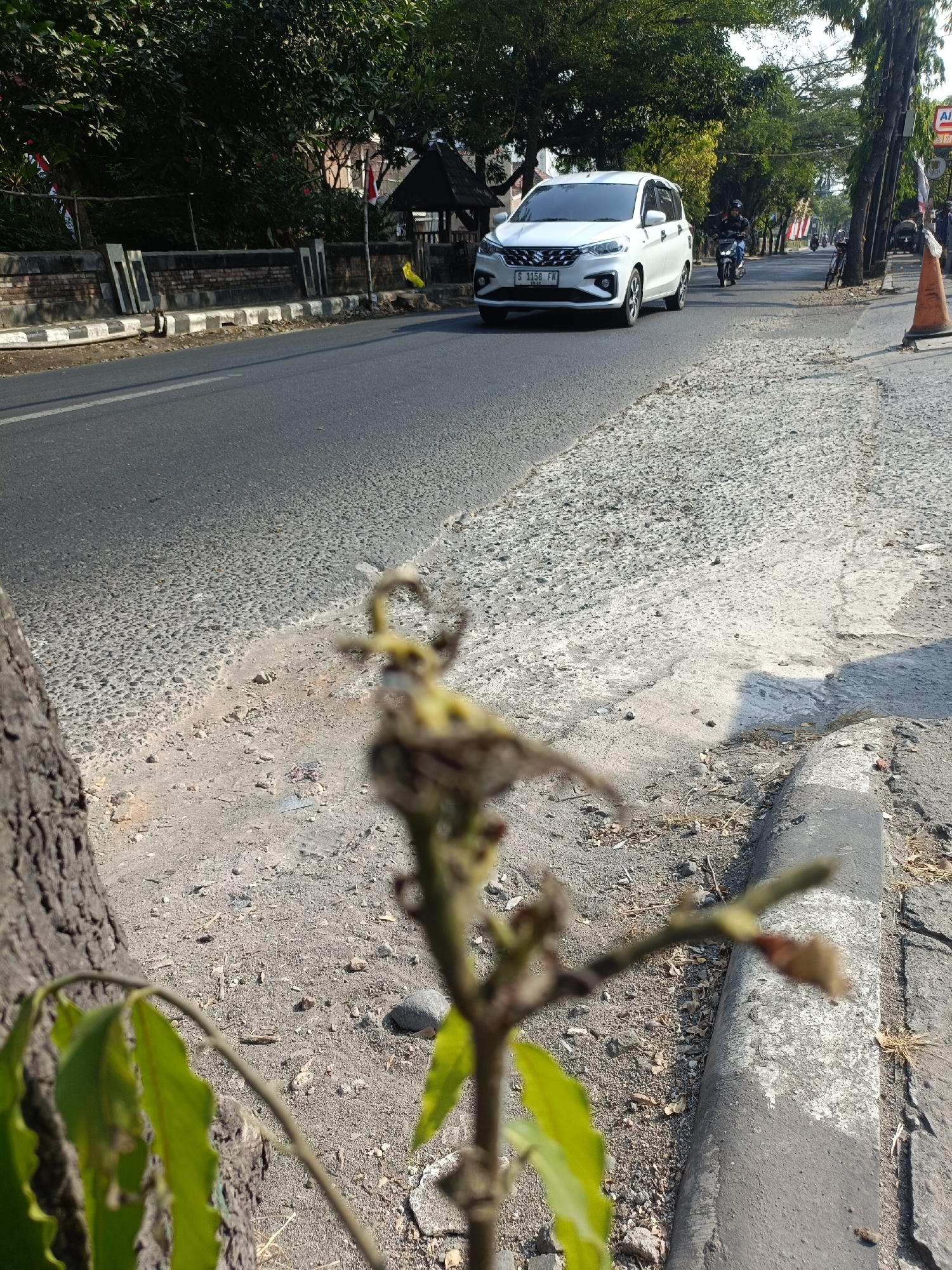 The image captures a street scene in Kediri City, Indonesia, likely during daylight hours, indicated by the bright sunlight casting shadows. In the foreground, a young tree with green leaves is positioned to the left, partially obscuring the view. The ground appears to be a mixture of dirt and small stones, with a paved road running parallel to it.
On the road, a white four-door car is traveling away from the camera, with its license plate visible as "S 1158 FK". To the right of the car, a person is riding a motorcycle, also moving in the same direction. Further down the road, other vehicles and pedestrians are visible, suggesting a moderate level of activity.
The background features a row of trees, providing a green canopy. A low wall, constructed with bricks and concrete, runs along the side of the road. Small Indonesian flags are displayed along this wall, suggesting a possible national celebration or event. A dark-colored, open-sided structure, possibly a pavilion or gazebo, is also present behind the wall. To the far right, an orange traffic cone is positioned near the edge of the road, and a sign with "AI" is visible. The overall environment depicts a typical urban street in Indonesia, with elements of nature and human activity coexisting.