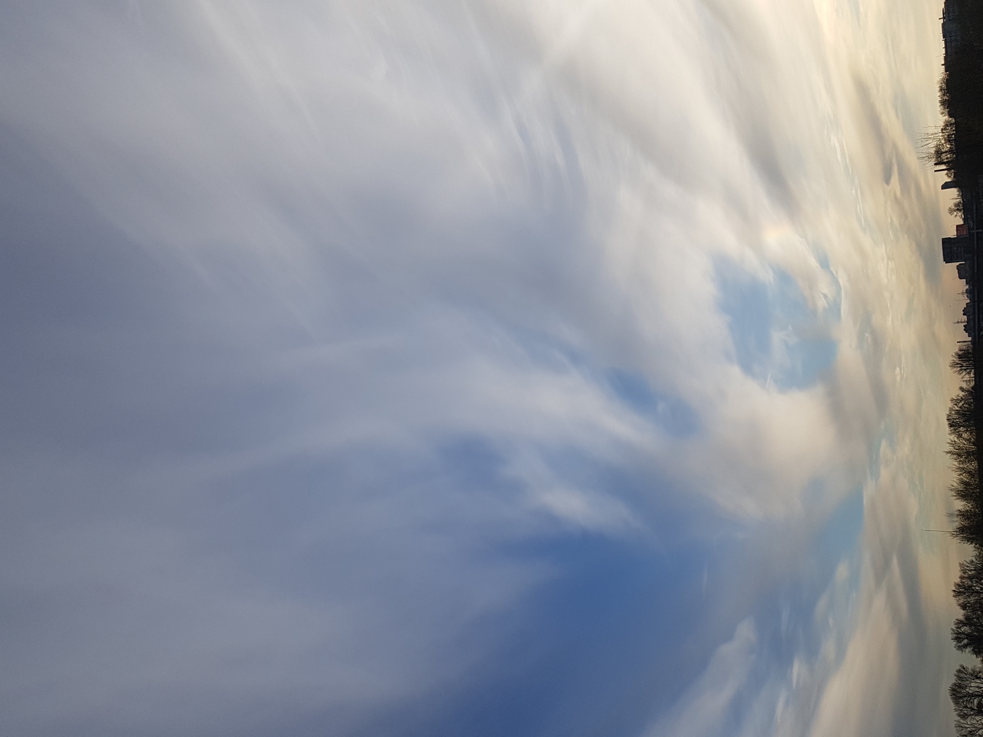 The image shows a daytime sky in Saint Petersburg, Russia. The sky is predominantly blue with wispy, cirrus clouds spread across the frame. The clouds appear to have a linear pattern, moving from left to right. A hint of golden light is visible on the right side of the image, possibly indicating sunrise or sunset. A thin line of trees and building silhouettes are visible on the far right horizon, defining the cityscape. There are no people visible.