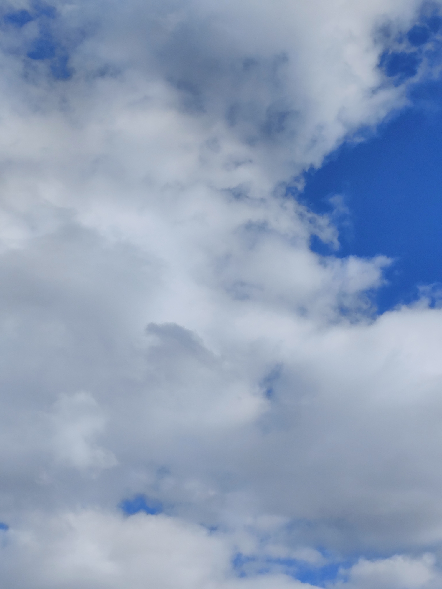 The image is a close-up, eye-level, vertical shot of a blue sky filled with various types of clouds. The clouds are predominantly white and grey, with some appearing fluffy and light, while others are denser and darker, suggesting possible rain or storm clouds. Patches of clear blue sky are visible between the clouds, particularly towards the right side of the frame and in smaller openings throughout. The lighting indicates it is daytime, with the sun likely diffused by the cloud cover. There are no people, animals, or man-made objects visible in the image. The scene depicts a natural sky formation, characteristic of the atmospheric conditions that could be observed in the Березов ауылдық округі, Kazakhstan, a rural area likely to have open sky views.
