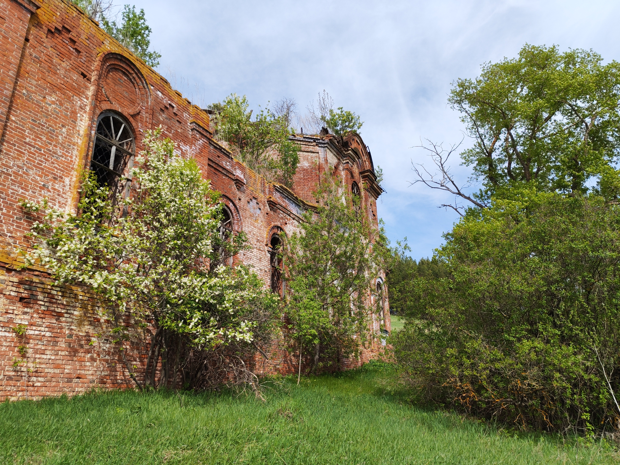 The image captures the ruins of a brick building in Крынды, Russia. The structure is heavily overgrown with vegetation, including trees, shrubs, and flowering plants. The walls are red brick, and the windows are arched with decaying frames. The sky is partially visible, with patches of blue and thin clouds. The foreground features green grass.