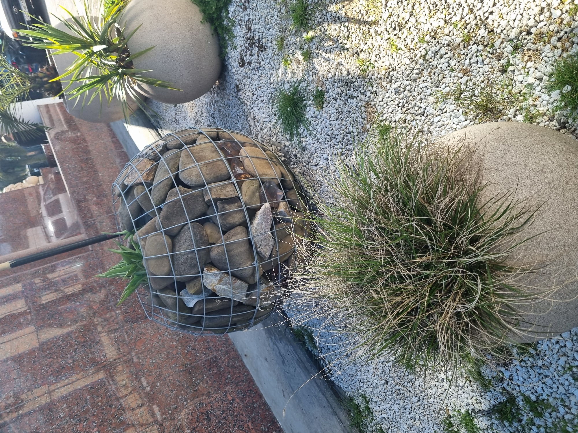 This image shows a landscaped area, likely in Sochi, Russia, featuring various spherical planters and decorative elements. There are three large, spherical planters of concrete or a similar material. One is filled with long, spiky green plants. A second planter is constructed from a wire mesh filled with rocks. Some green plants are growing at the bottom of this planter. The third spherical planter holds a palm-like plant with long, pointed leaves. The ground cover is mostly small white gravel, with patches of grass growing through it. The area is bordered by a section of brick-tiled ground and a concrete curb. A black metal rod is visible near the planter with the wire mesh. The overall impression is a modern and deliberate landscaping design.