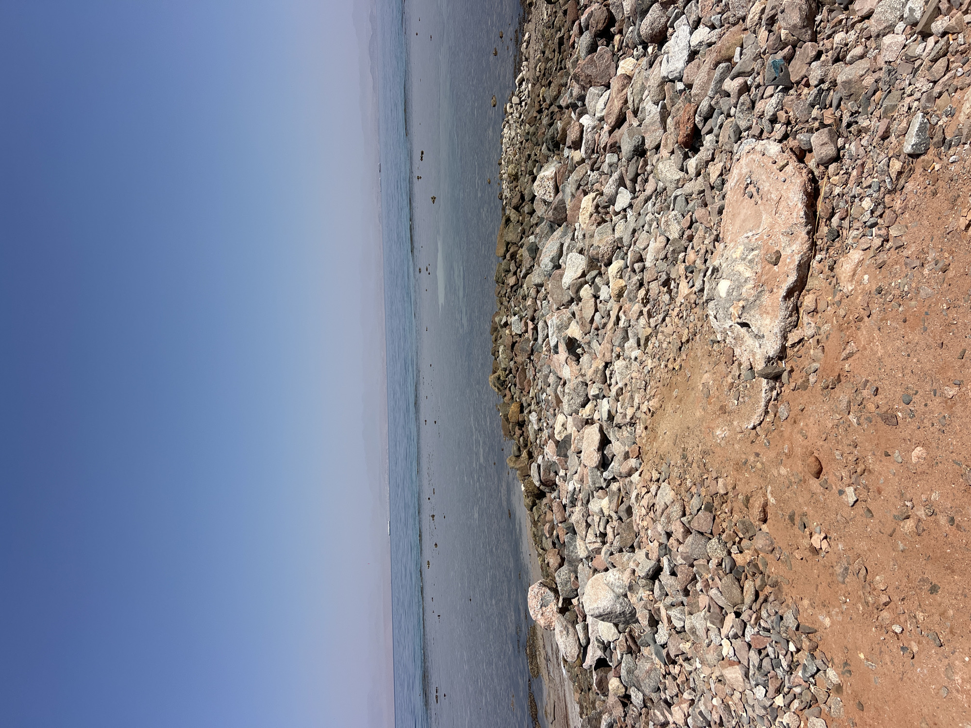 An eye-level, medium shot captures a rocky shore with the ocean and sky in the background under a clear blue sky. The foreground is dominated by a dense scattering of rocks ranging in size from pebbles to medium-sized stones, predominantly in shades of gray, red, and white. A narrow, reddish-brown dirt path is visible amidst the rocks, leading towards the water. The middle ground features the calm, shallow ocean, with the sandy seabed visible through the clear water in some areas. Scattered rocks and debris are present in the water near the shore. In the distance, the ocean meets a hazy horizon, with faint outlines of landmasses and several small boats or ships visible. The overall impression is a natural, undeveloped coastal landscape.